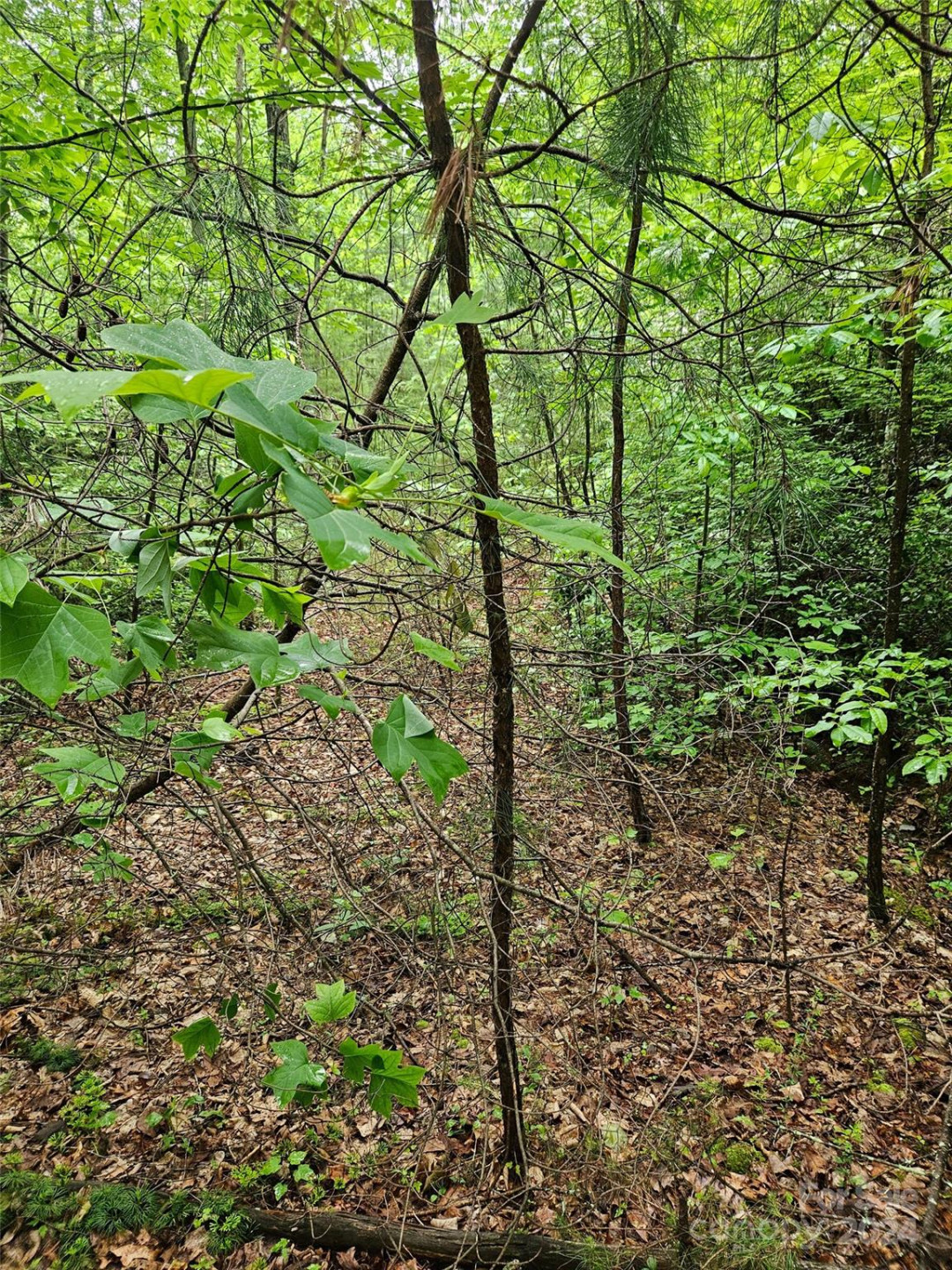 00 Brookside Parkway #24 - Photo 3