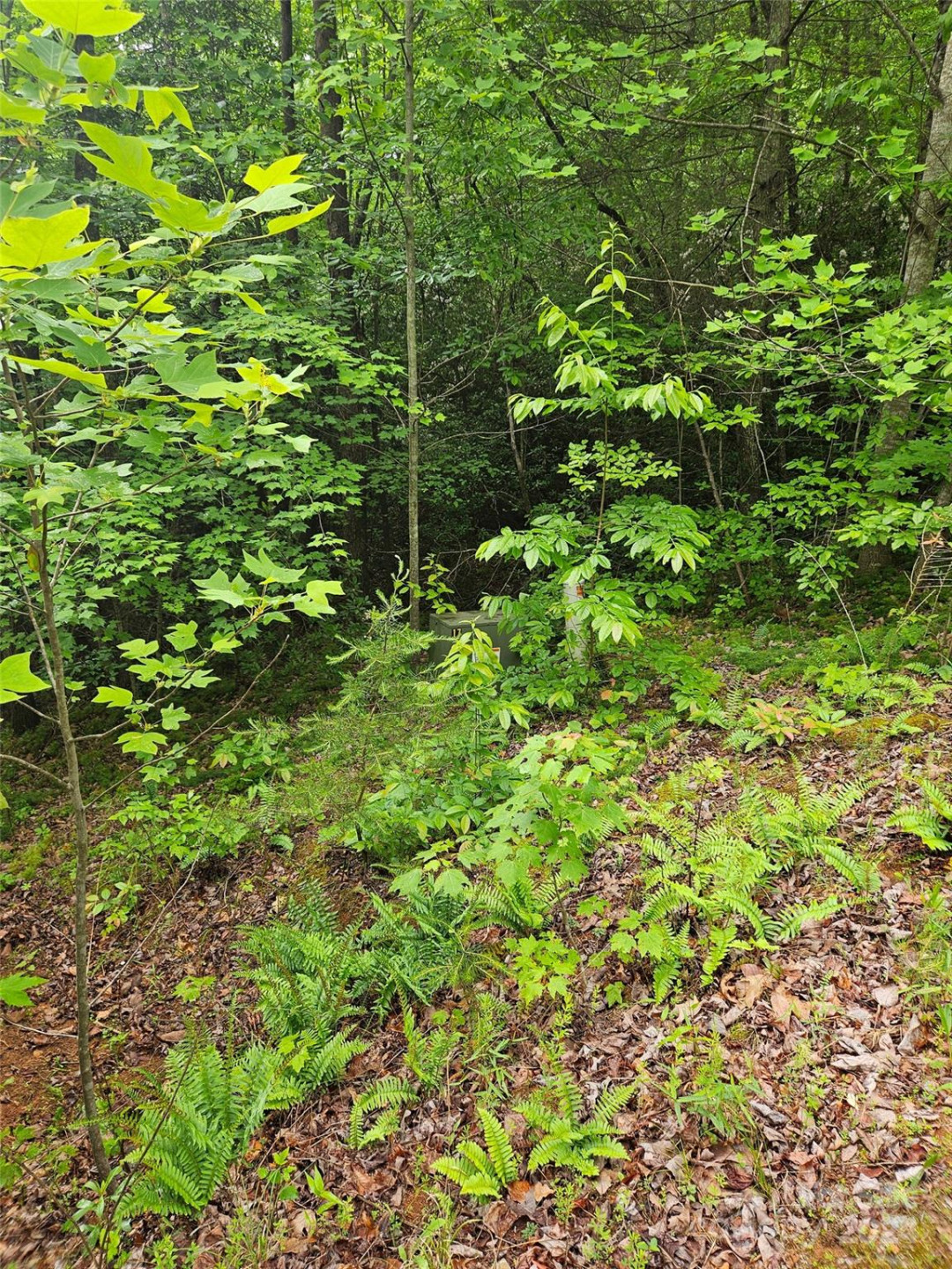 00 Brookside Parkway #24 - Photo 4