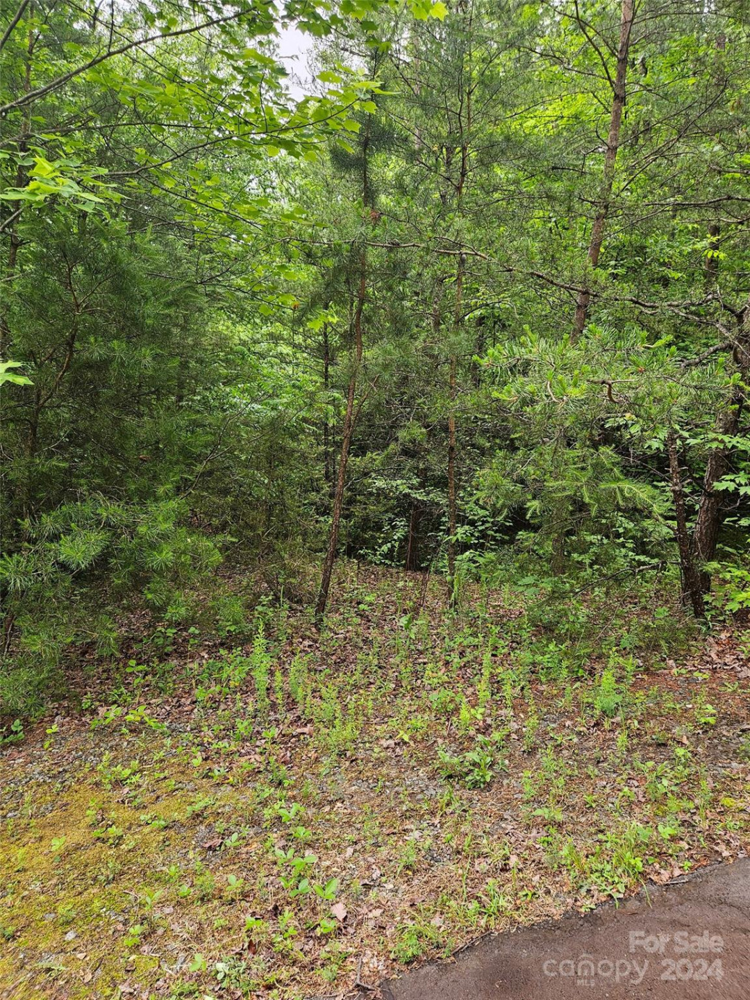 00 Brookside Parkway #24 - Photo 5