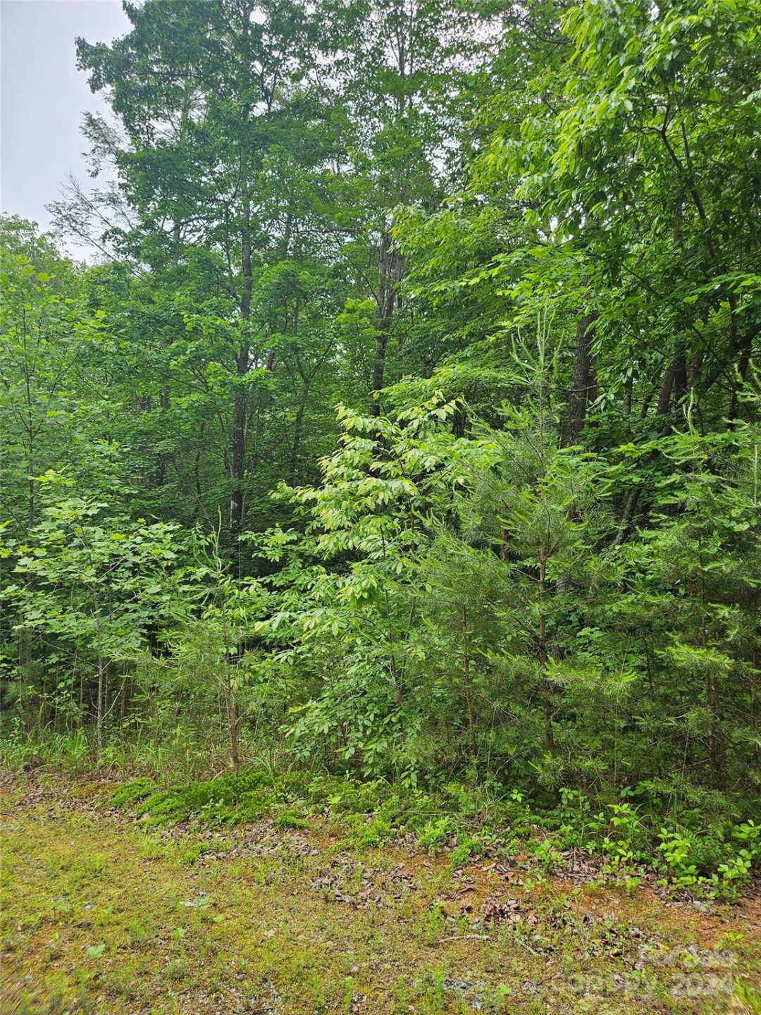 00 Brookside Parkway #24 - Photo 6