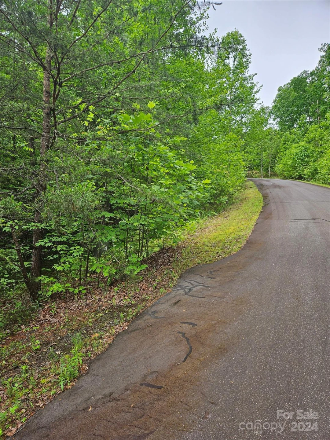 00 Brookside Parkway #24 - Photo 7