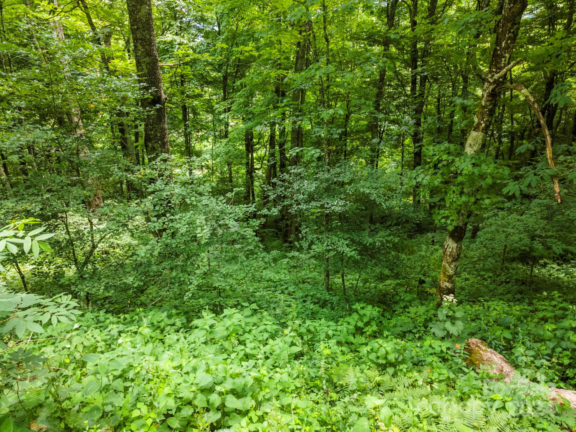 948 Lookout Drive #948 & 949 - Photo 24