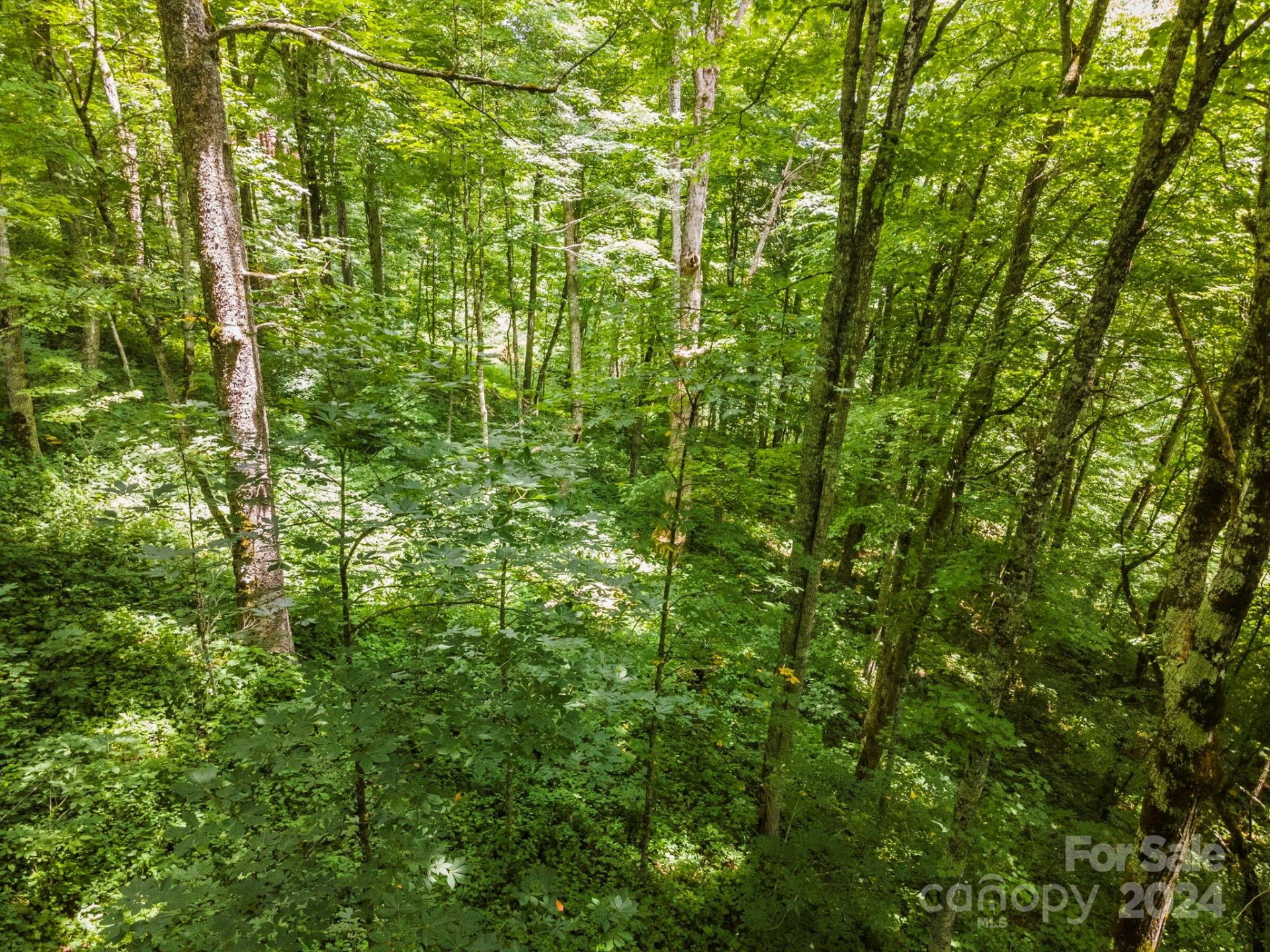 948 Lookout Drive #948 & 949 - Photo 26