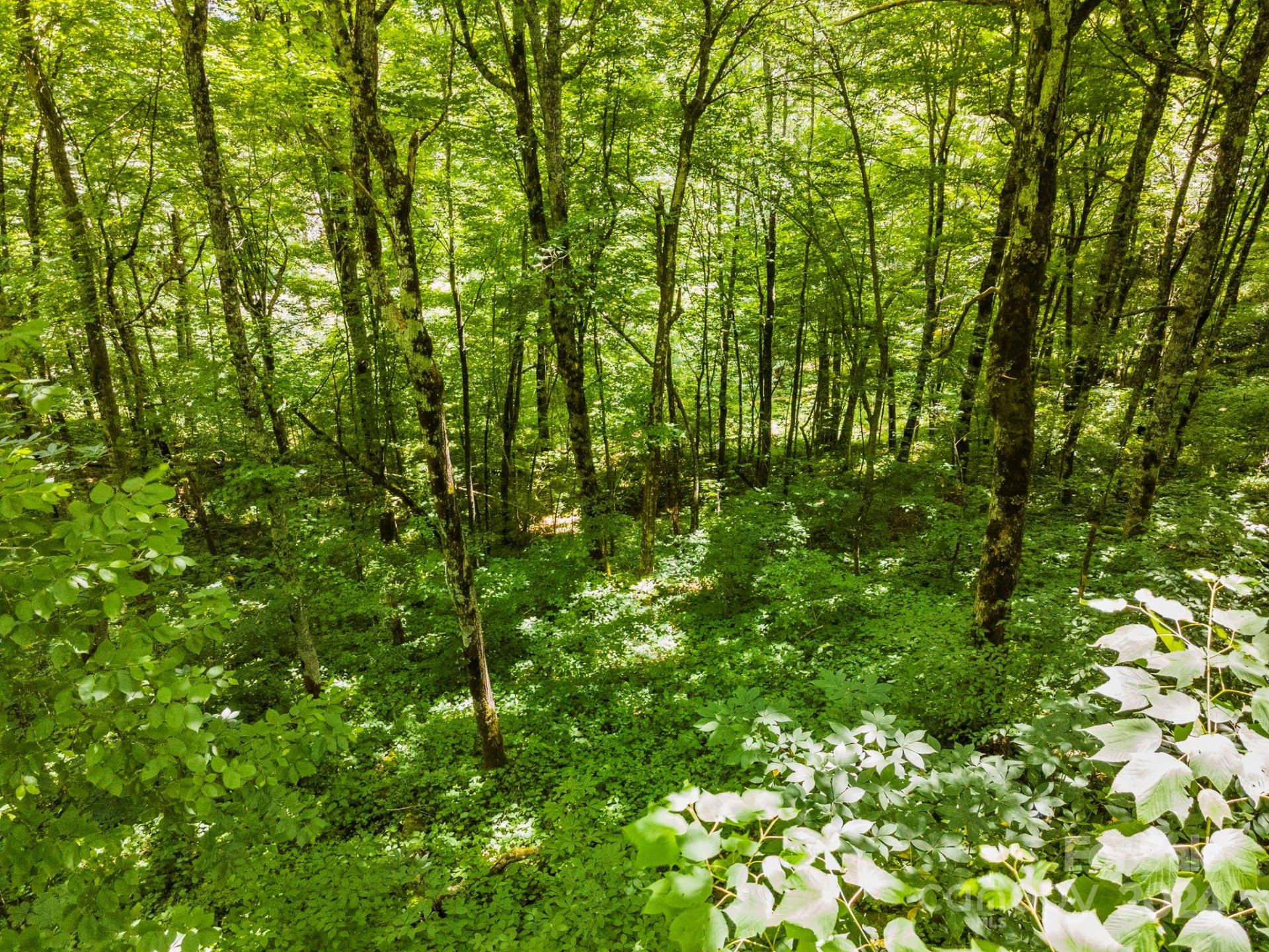 948 Lookout Drive #948 & 949 - Photo 27