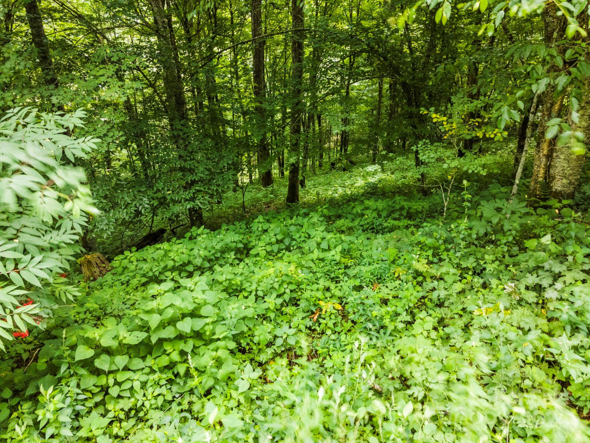 948 Lookout Drive #948 & 949 - Photo 29