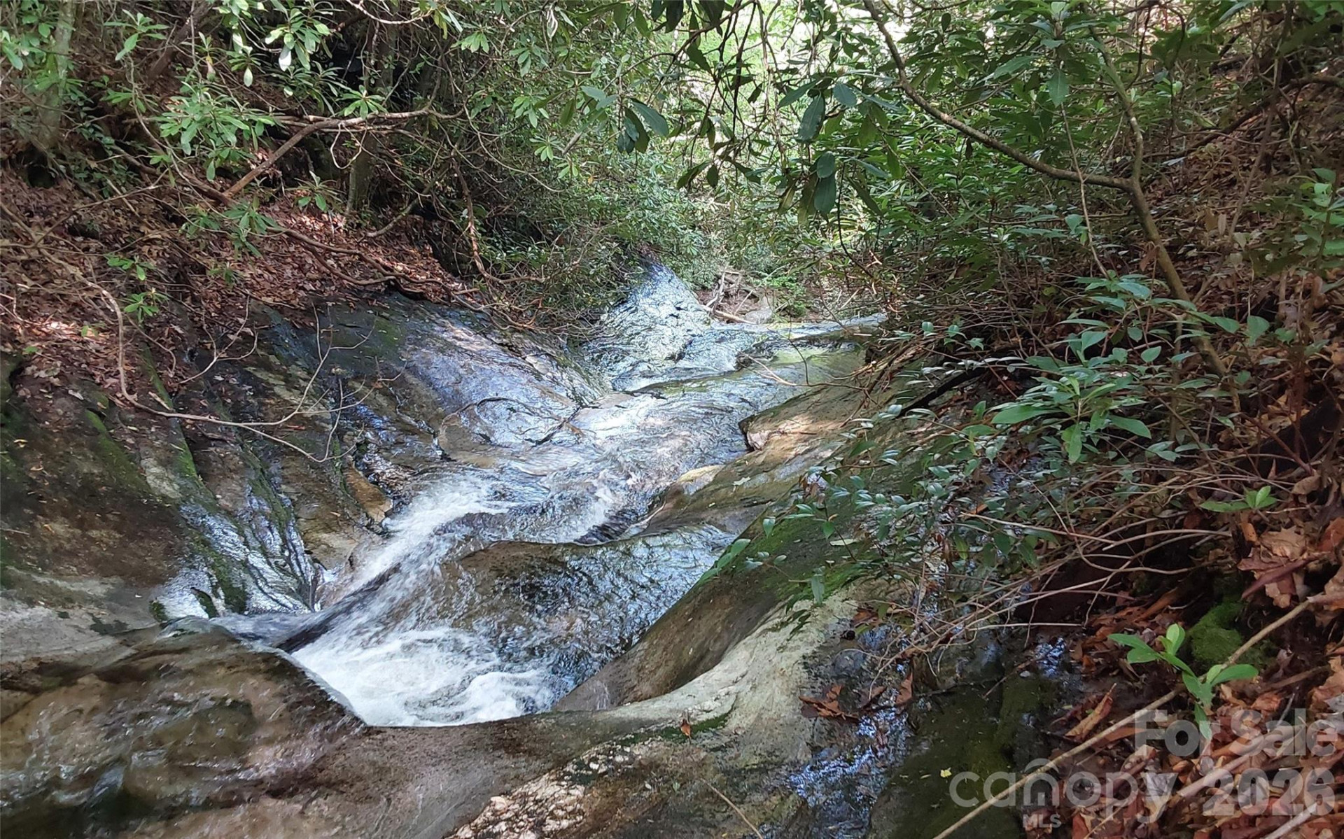 A2 CARDINAL Drive - Photo 2