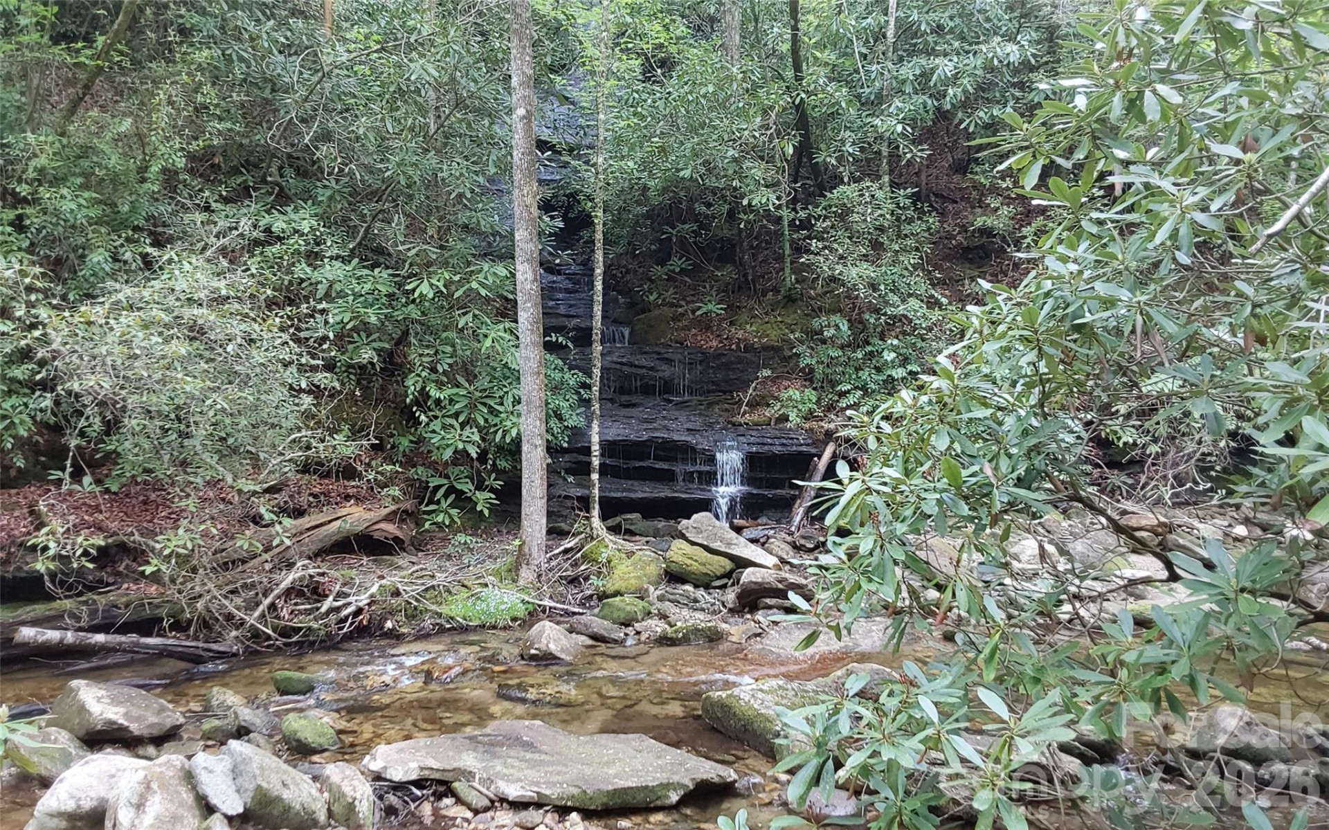 A2 CARDINAL Drive - Photo 11