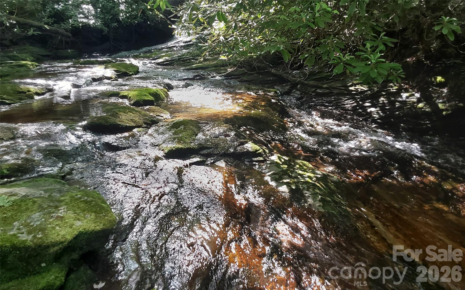 A2 CARDINAL Drive - Photo 12