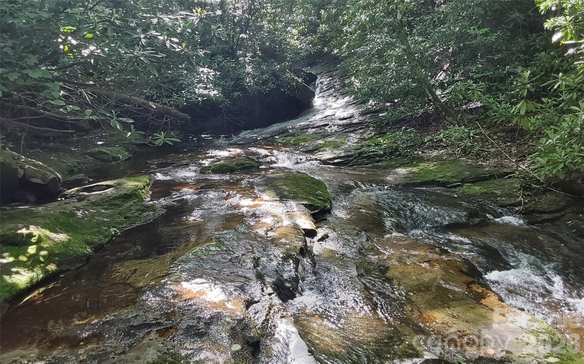 A2 CARDINAL Drive - Photo 13