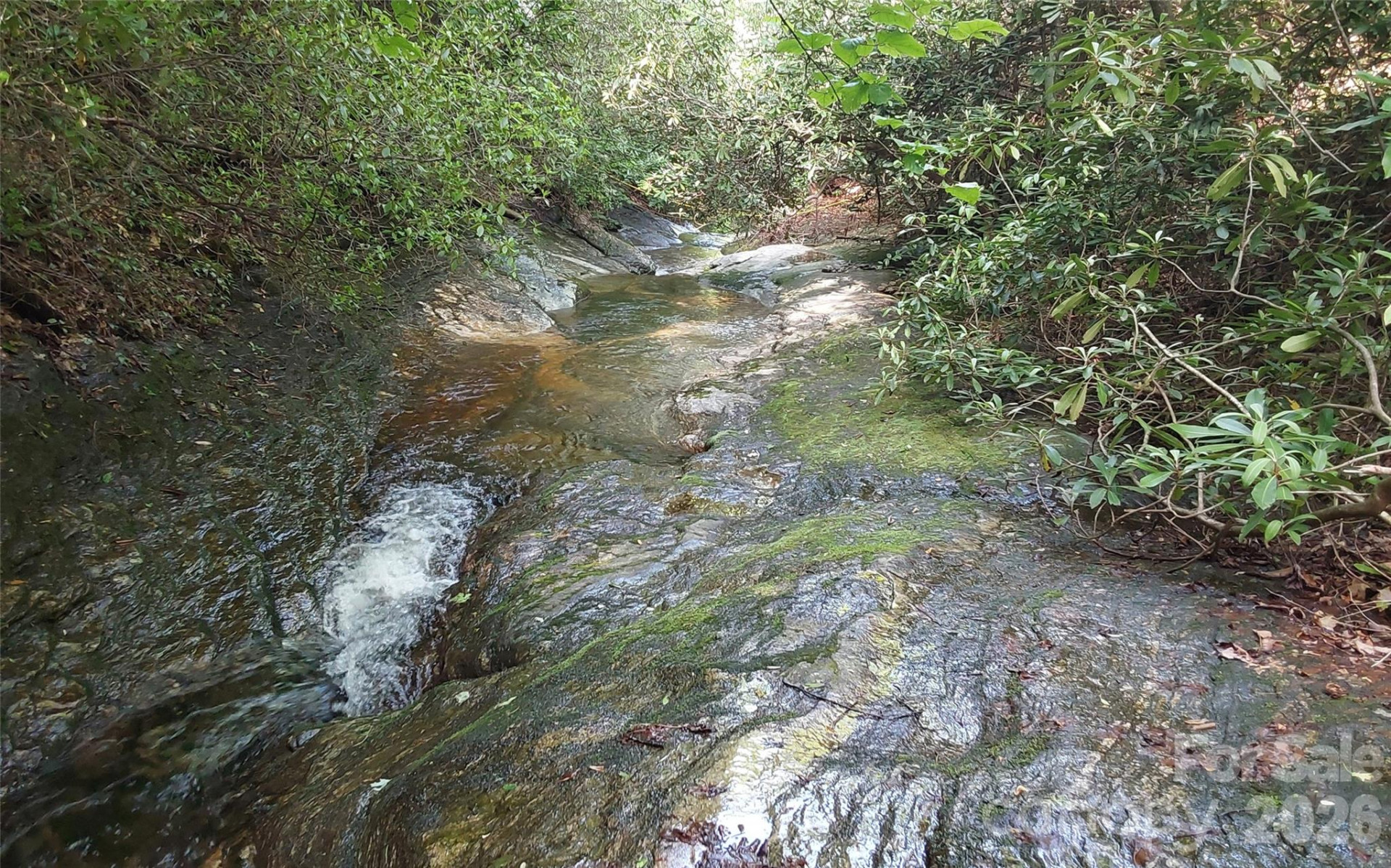 A2 CARDINAL Drive - Photo 15