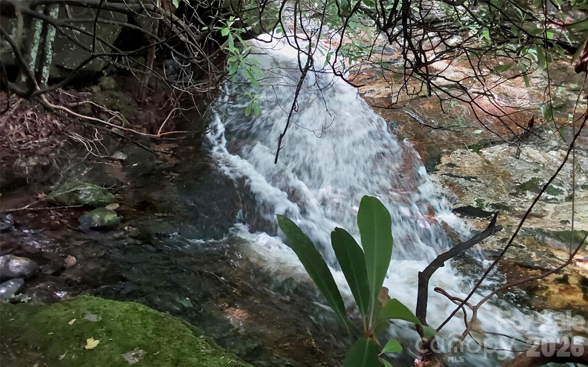 A2 CARDINAL Drive - Photo 17