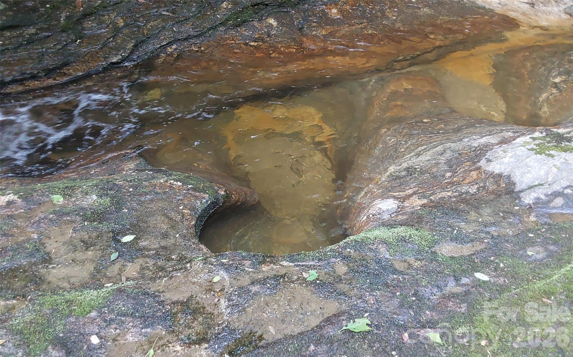 A2 CARDINAL Drive - Photo 18