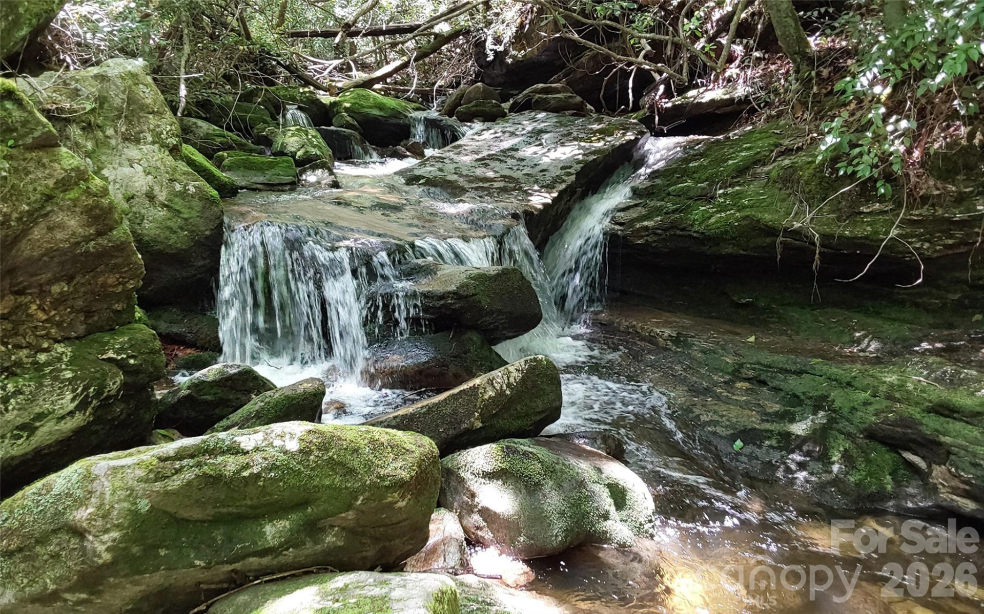 A2 CARDINAL Drive - Photo 19