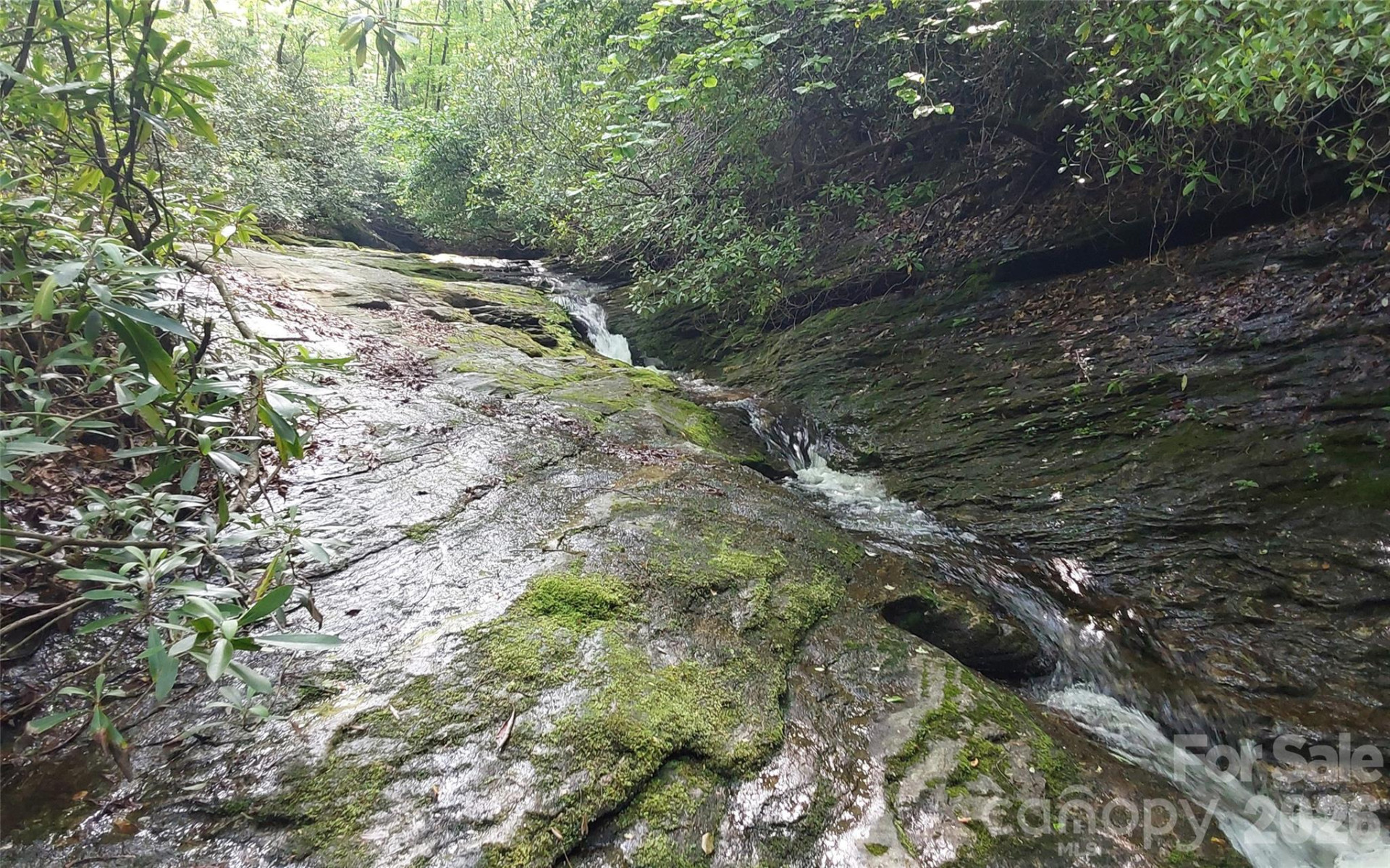 A2 CARDINAL Drive - Photo 20