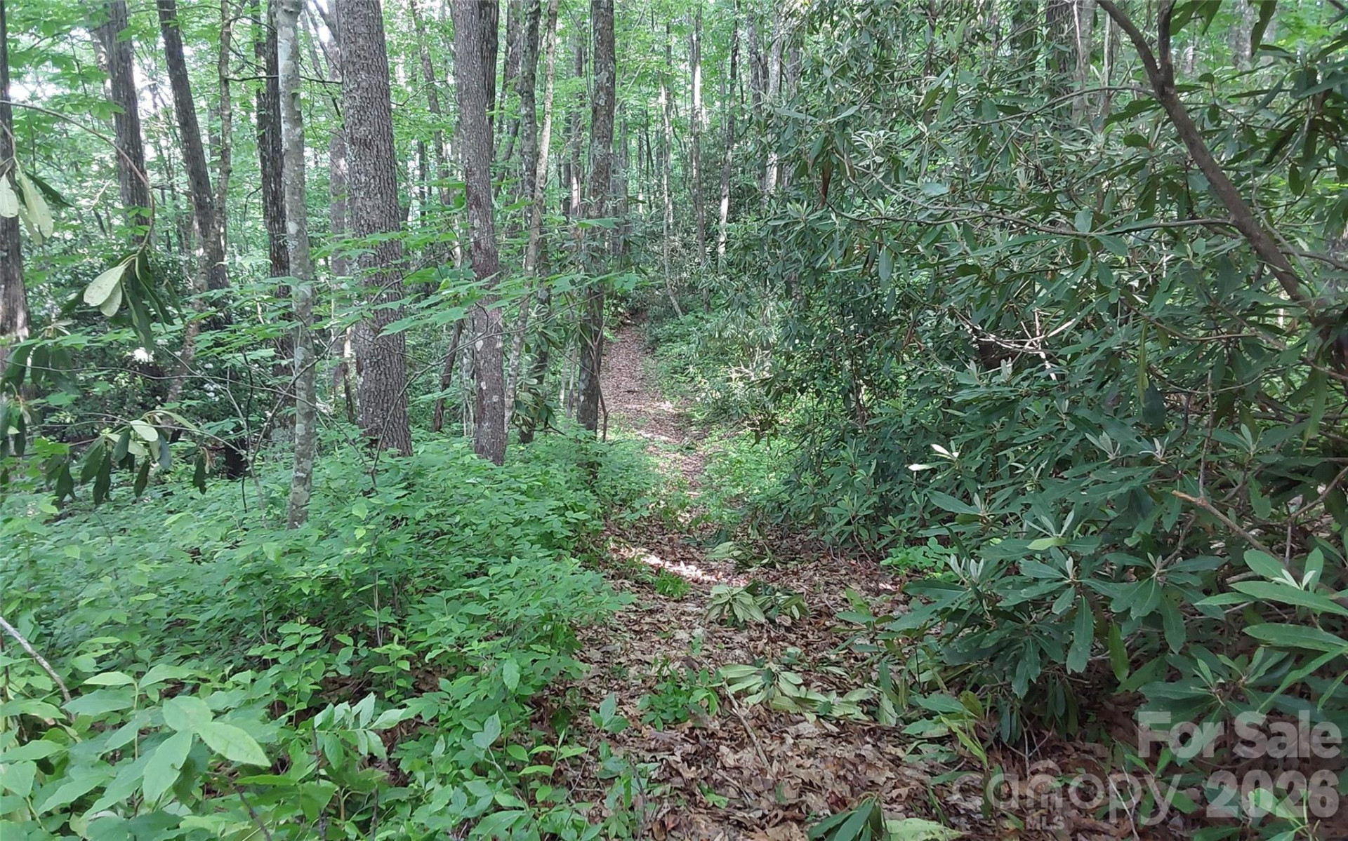 A2 CARDINAL Drive - Photo 3