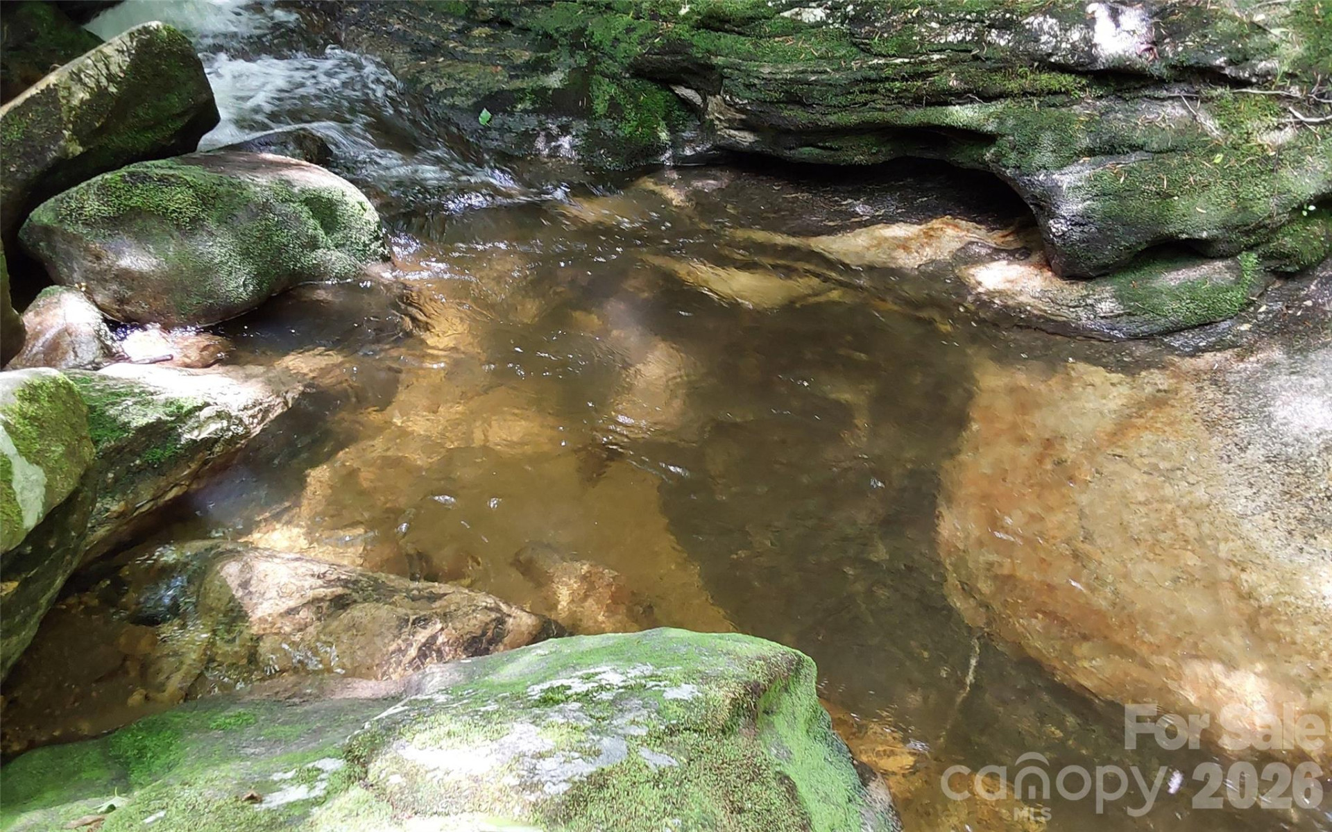 A2 CARDINAL Drive - Photo 21