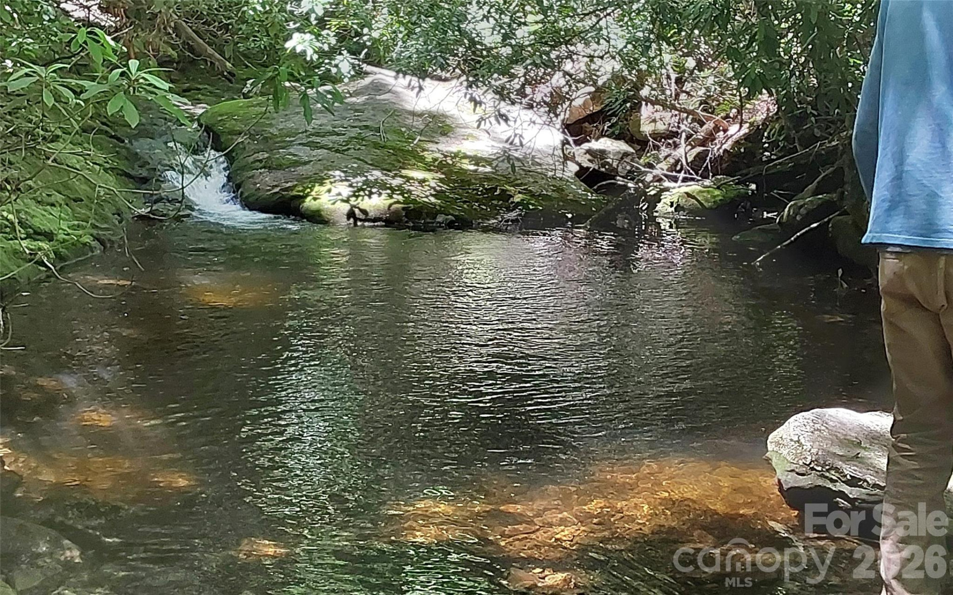 A2 CARDINAL Drive - Photo 22