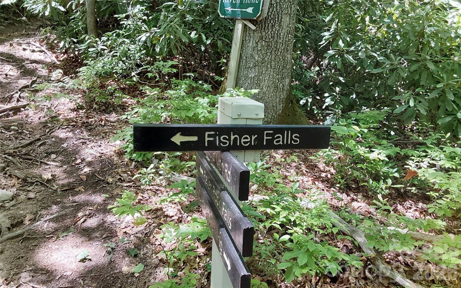 A2 CARDINAL Drive - Photo 24