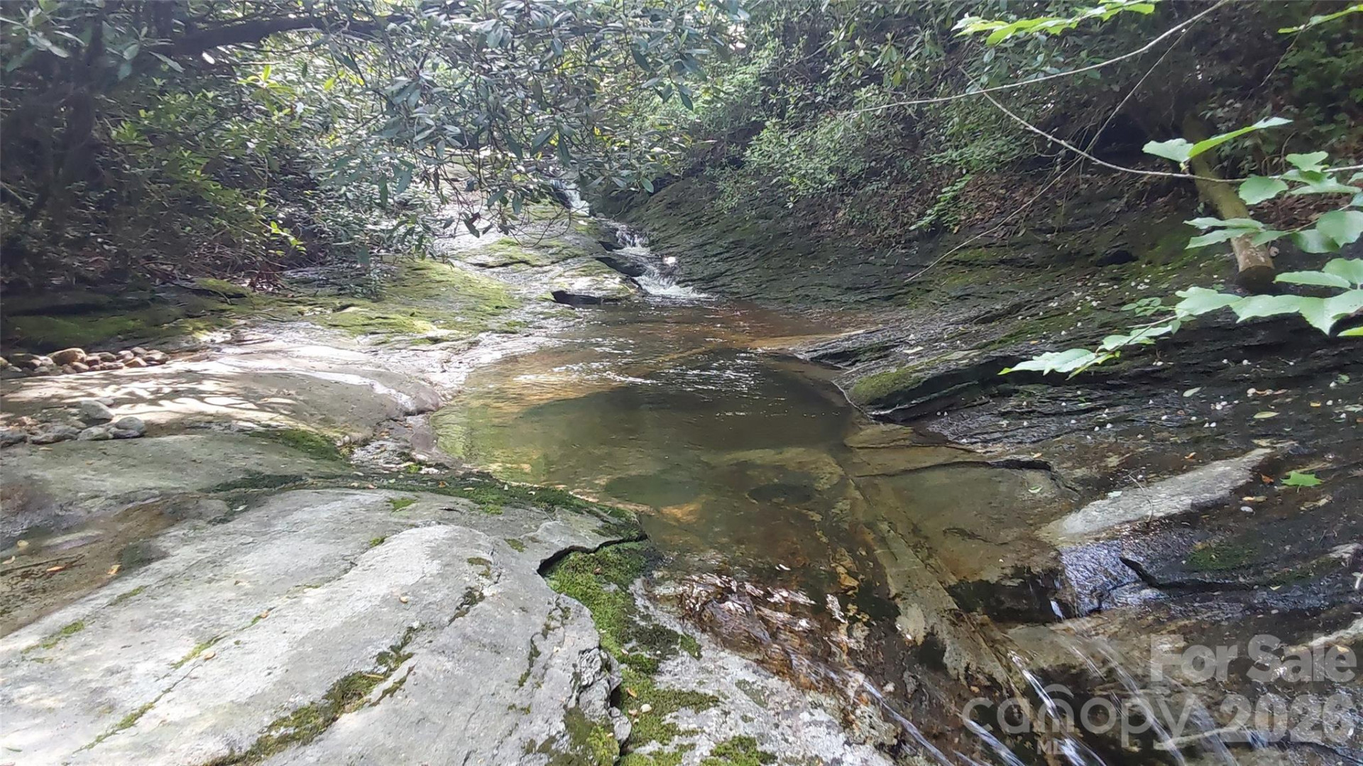 A2 CARDINAL Drive - Photo 25