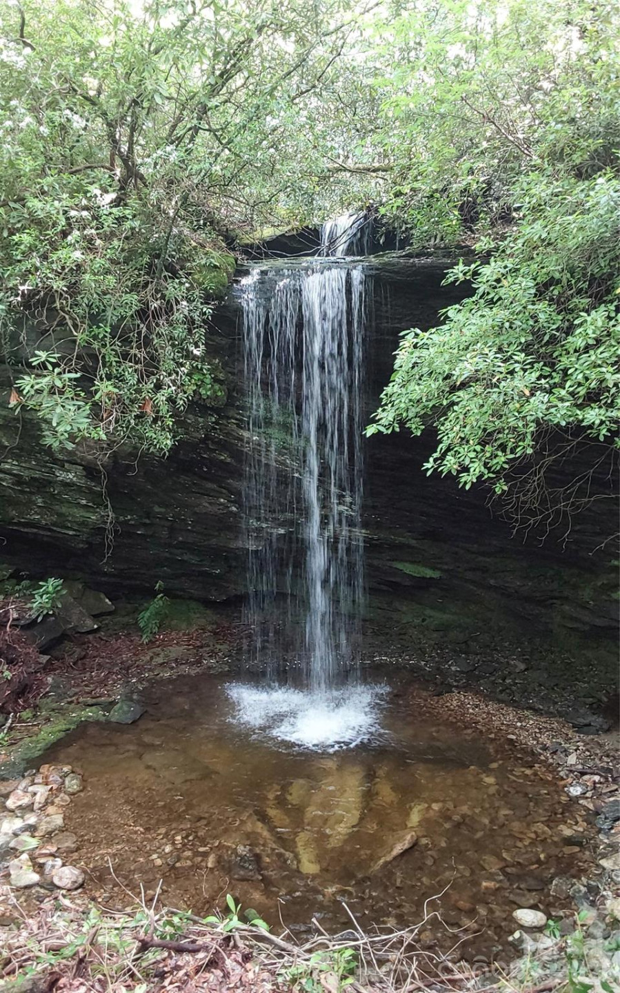 A2 CARDINAL Drive - Photo 27