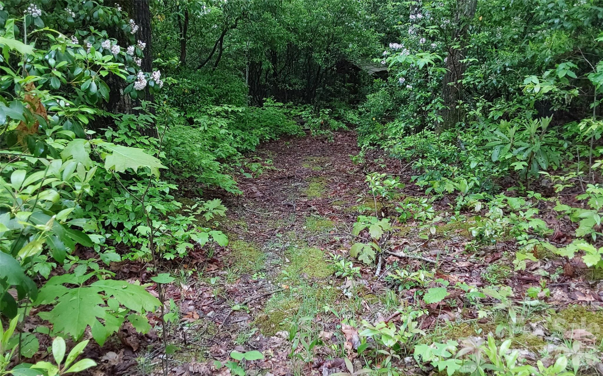 A2 CARDINAL Drive - Photo 4