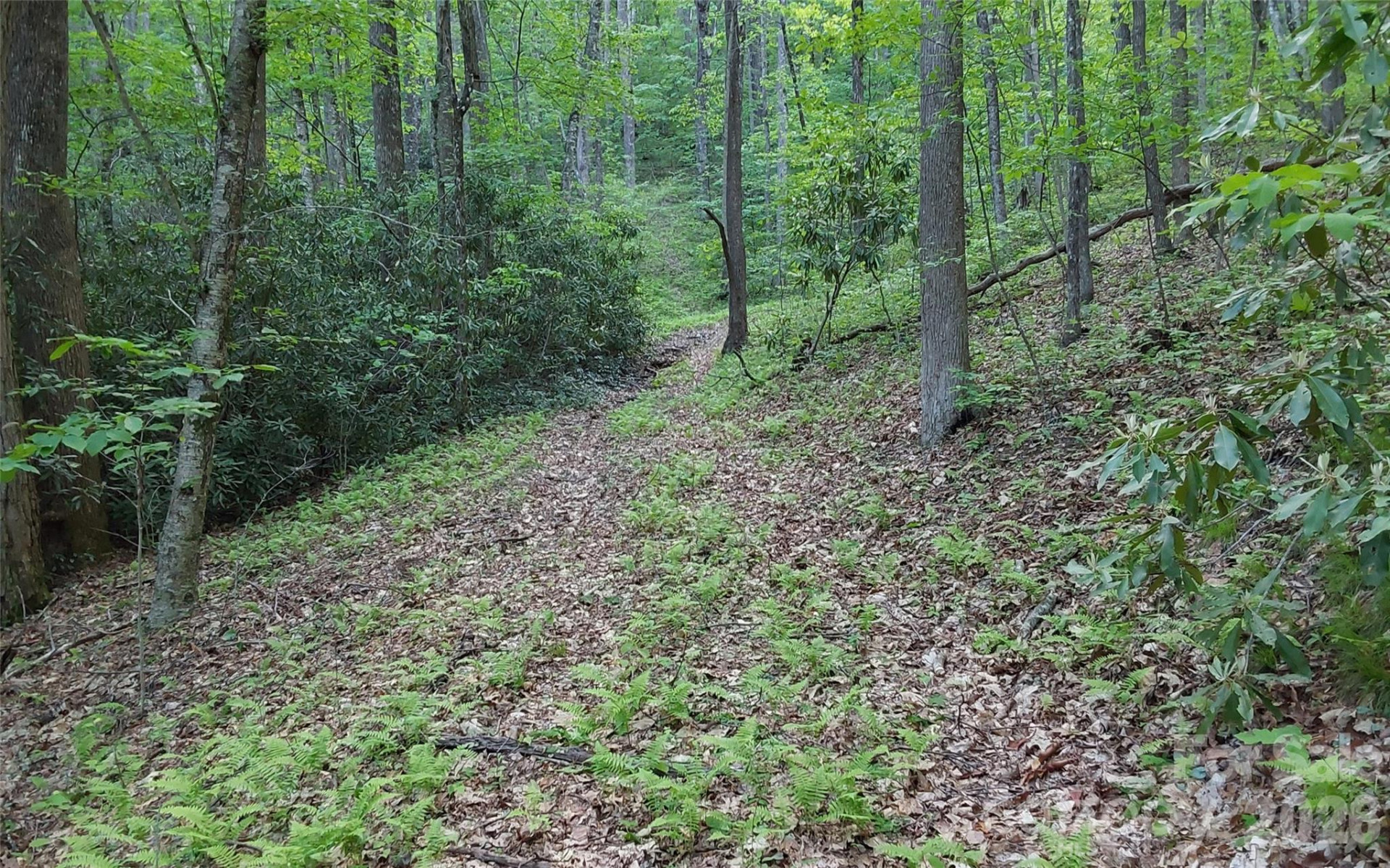 A2 CARDINAL Drive - Photo 6