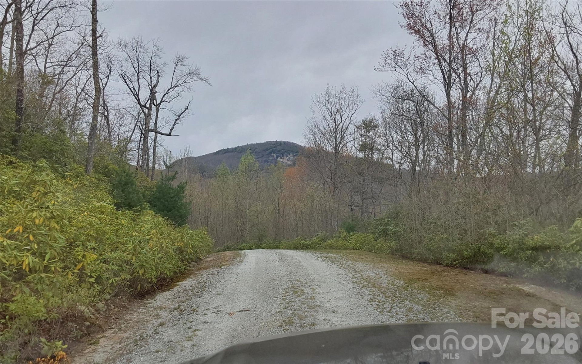 A2 CARDINAL Drive - Photo 7