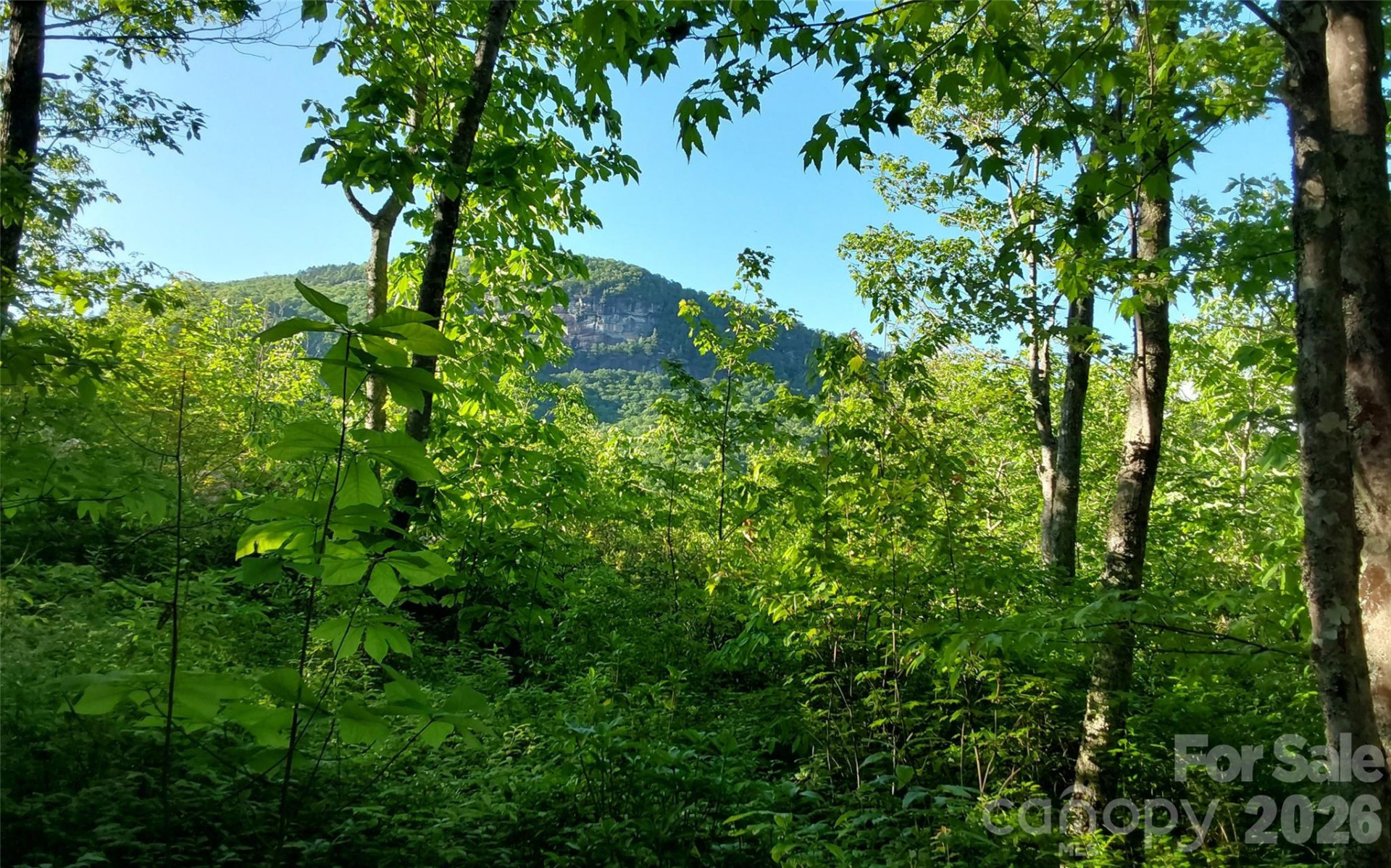 A2 CARDINAL Drive - Photo 8