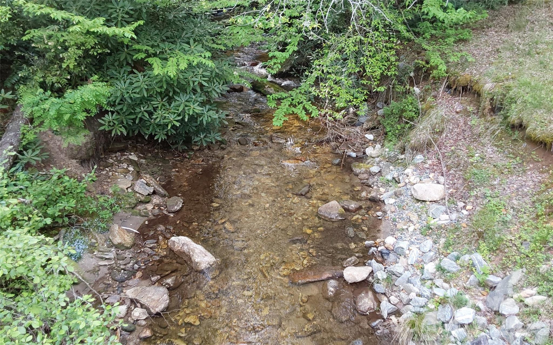 A2 CARDINAL Drive - Photo 9