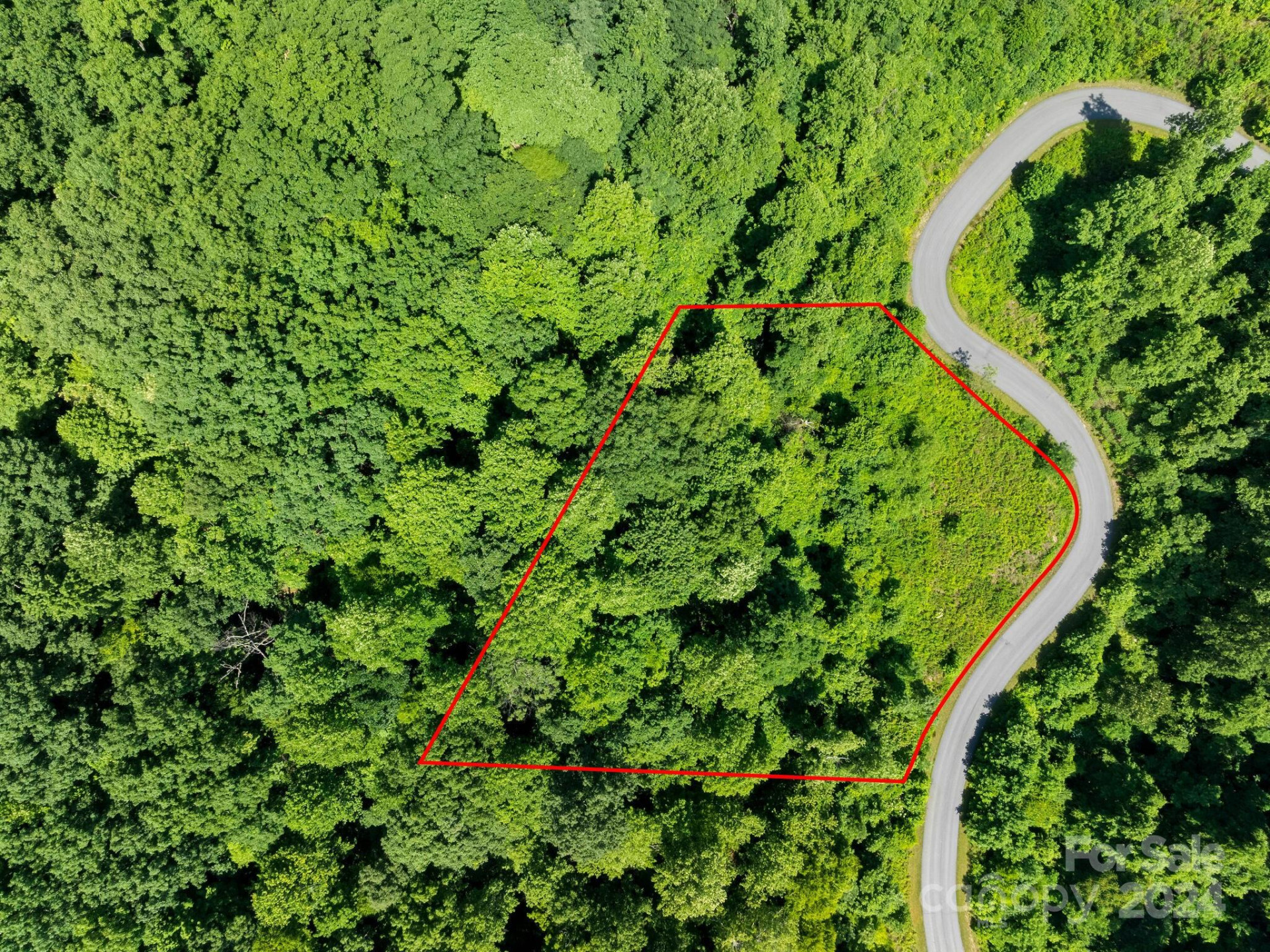 0 Bison Meadows #270 - Photo 2