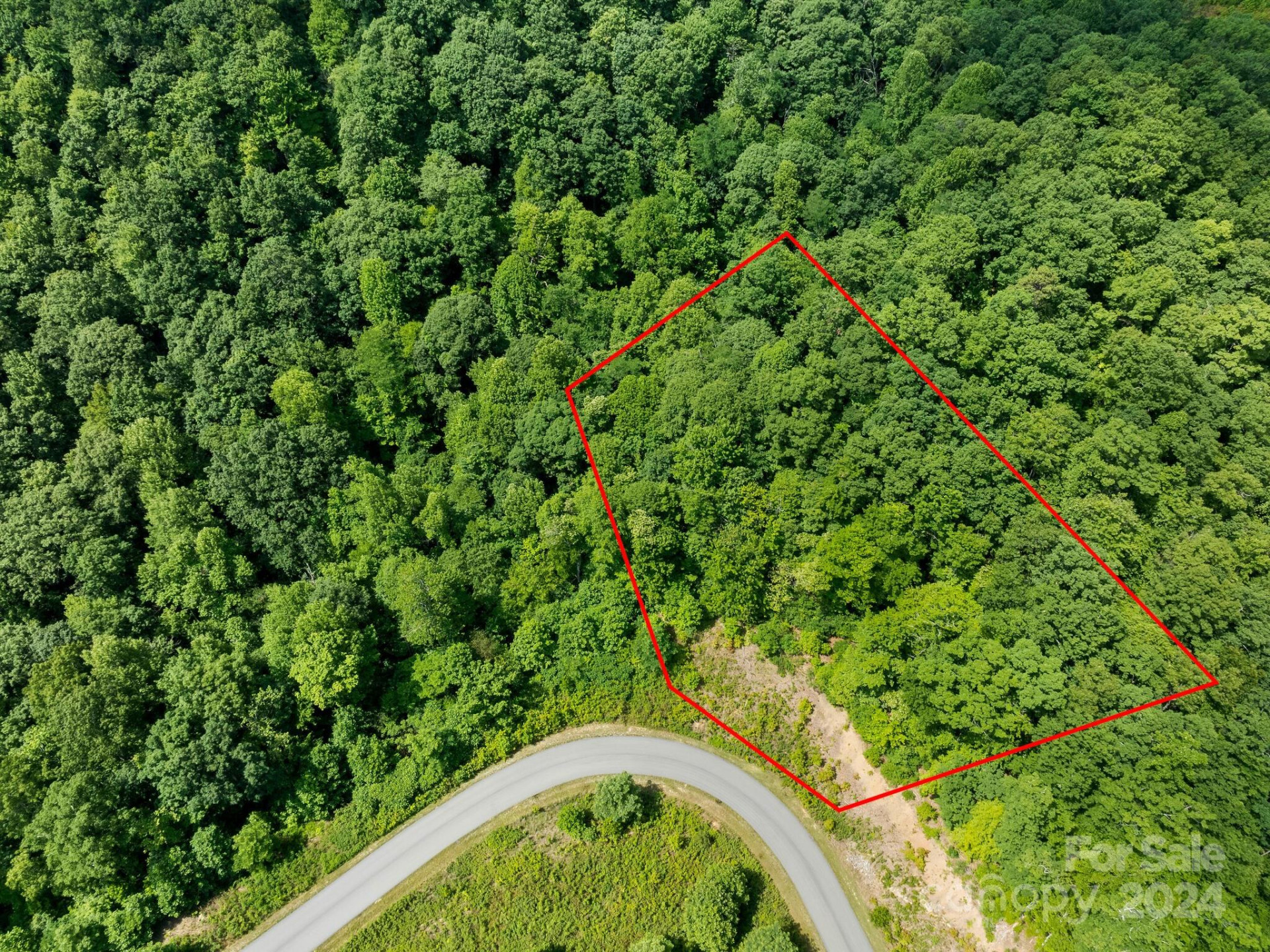 0 Glen Ridge Trail #335 - Photo 3