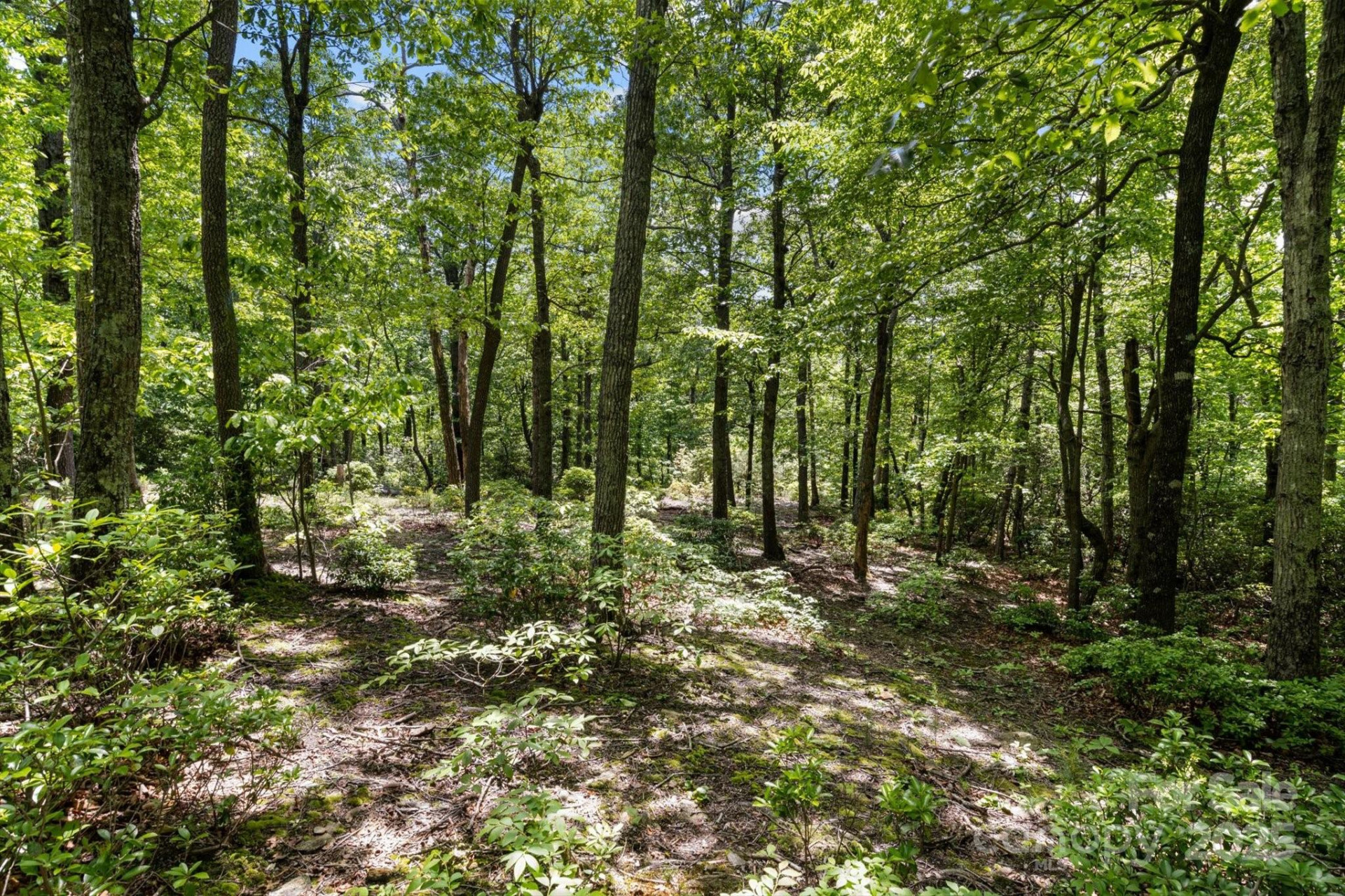 99999 Arrowhead Trail #80 - Photo 2