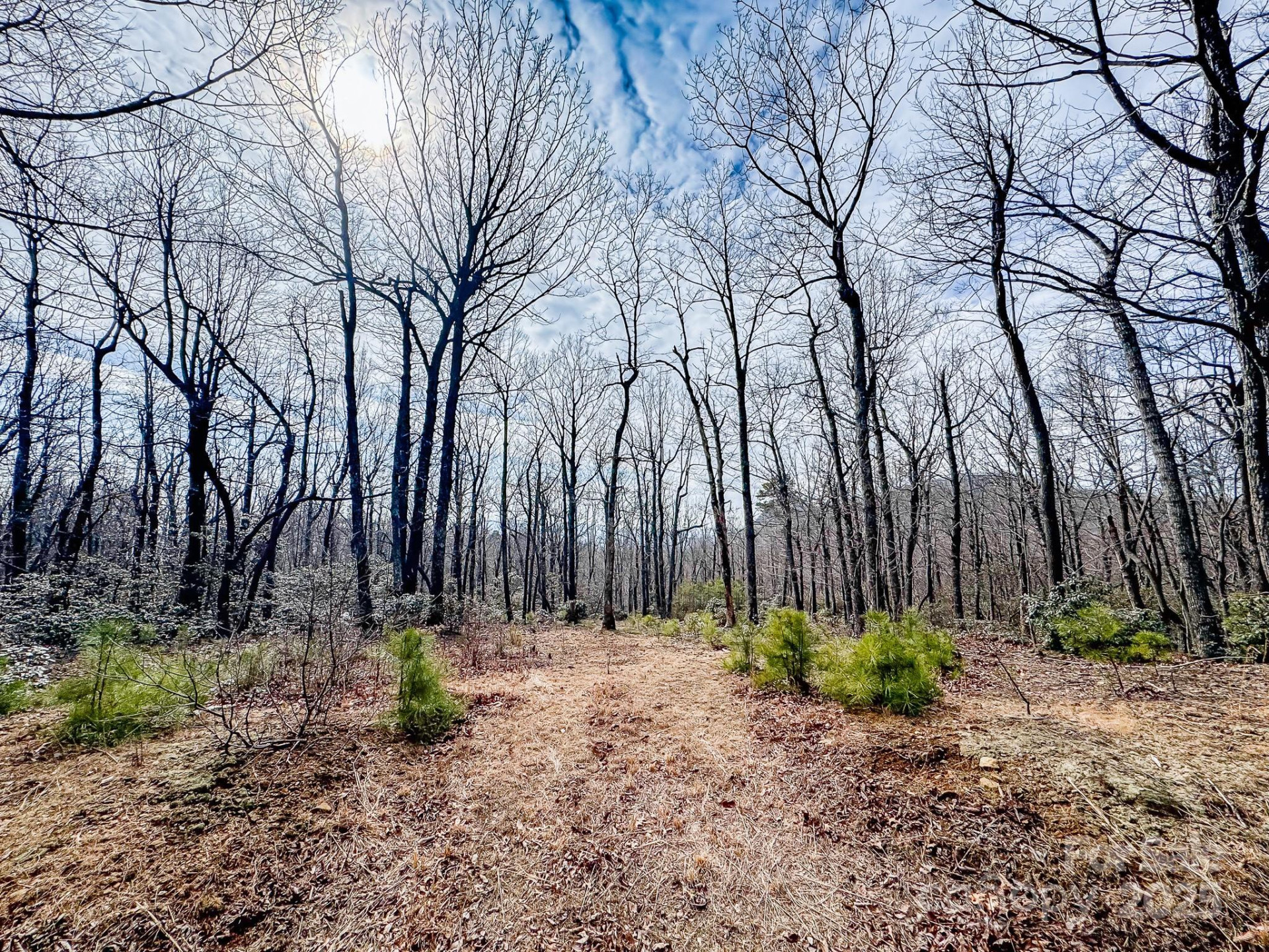 99999 Arrowhead Trail #80 - Photo 15