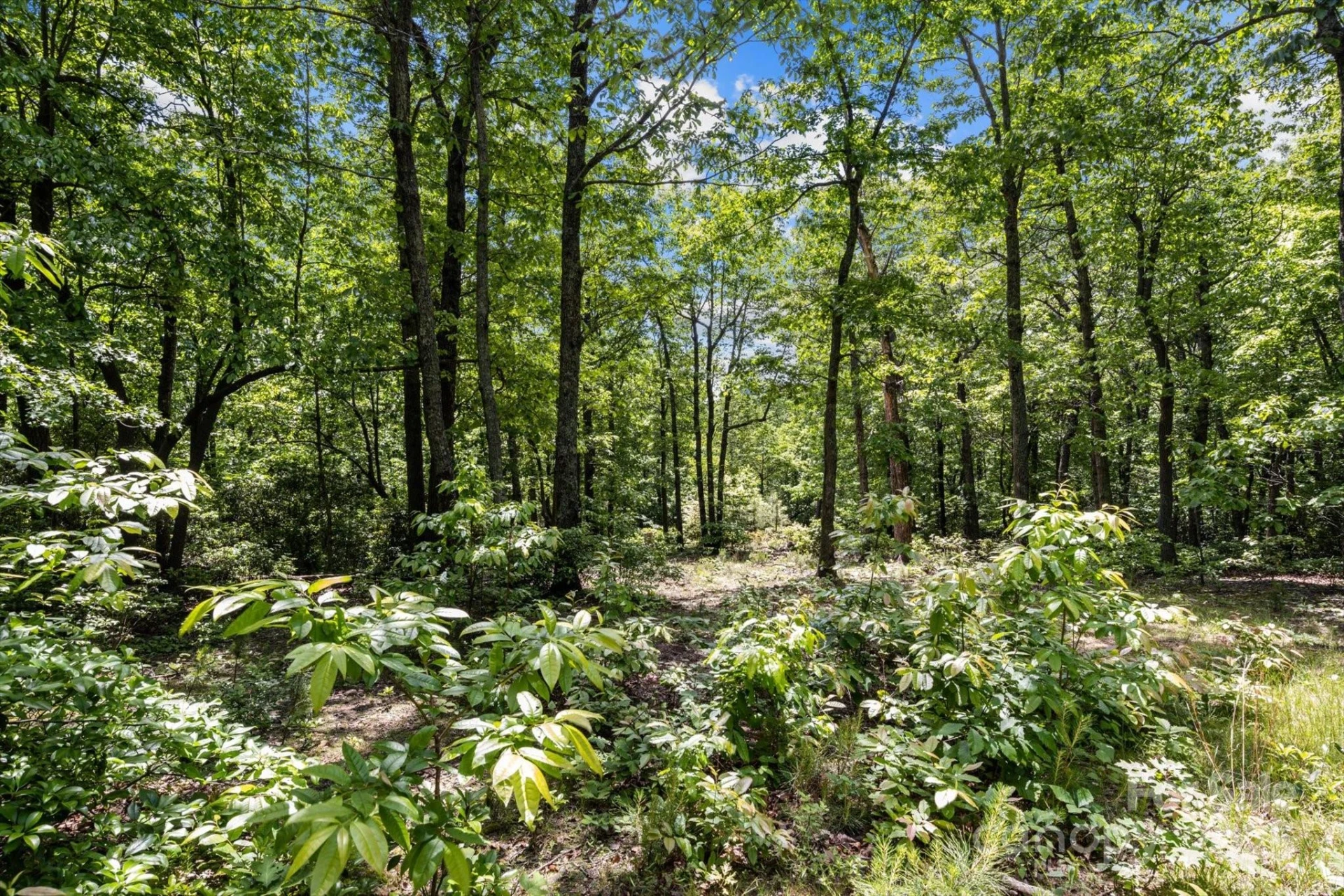 99999 Arrowhead Trail #80 - Photo 3