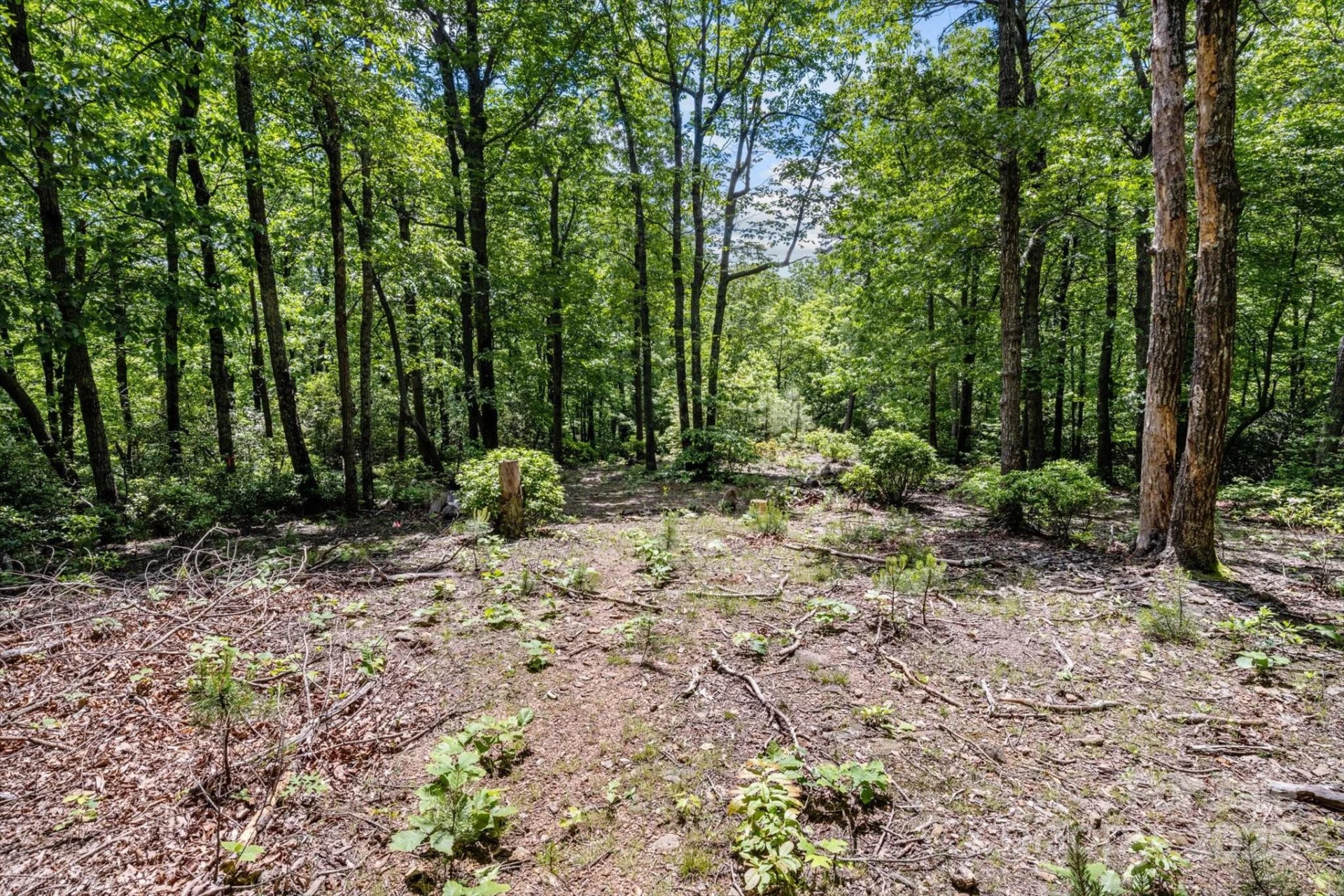 99999 Arrowhead Trail #80 - Photo 4