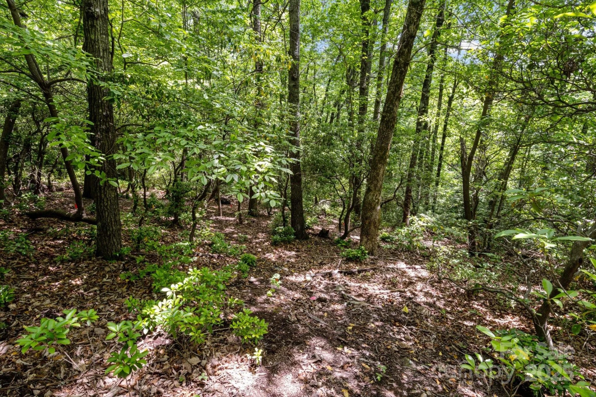 99999 Arrowhead Trail #80 - Photo 5