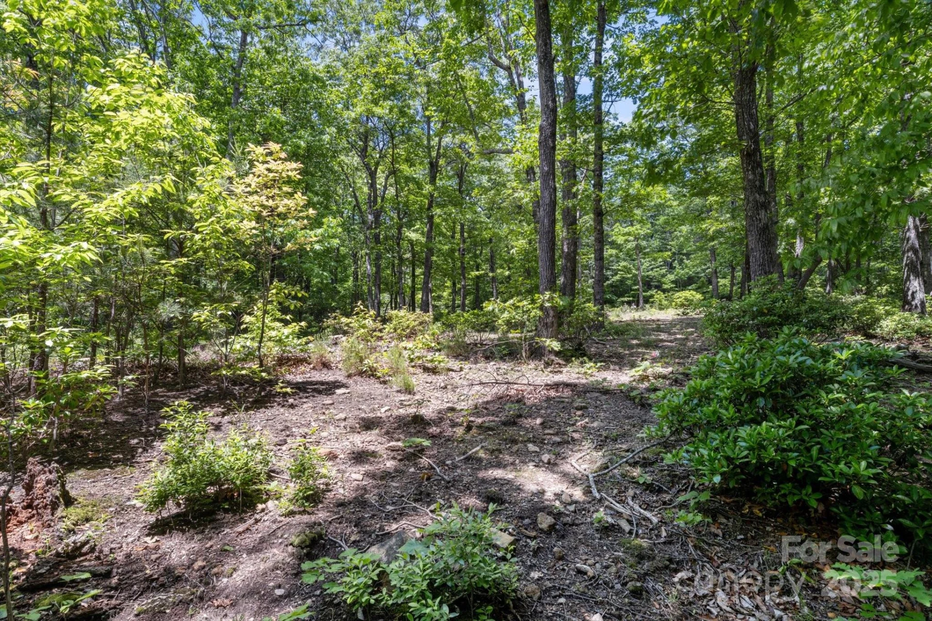 99999 Arrowhead Trail #80 - Photo 6