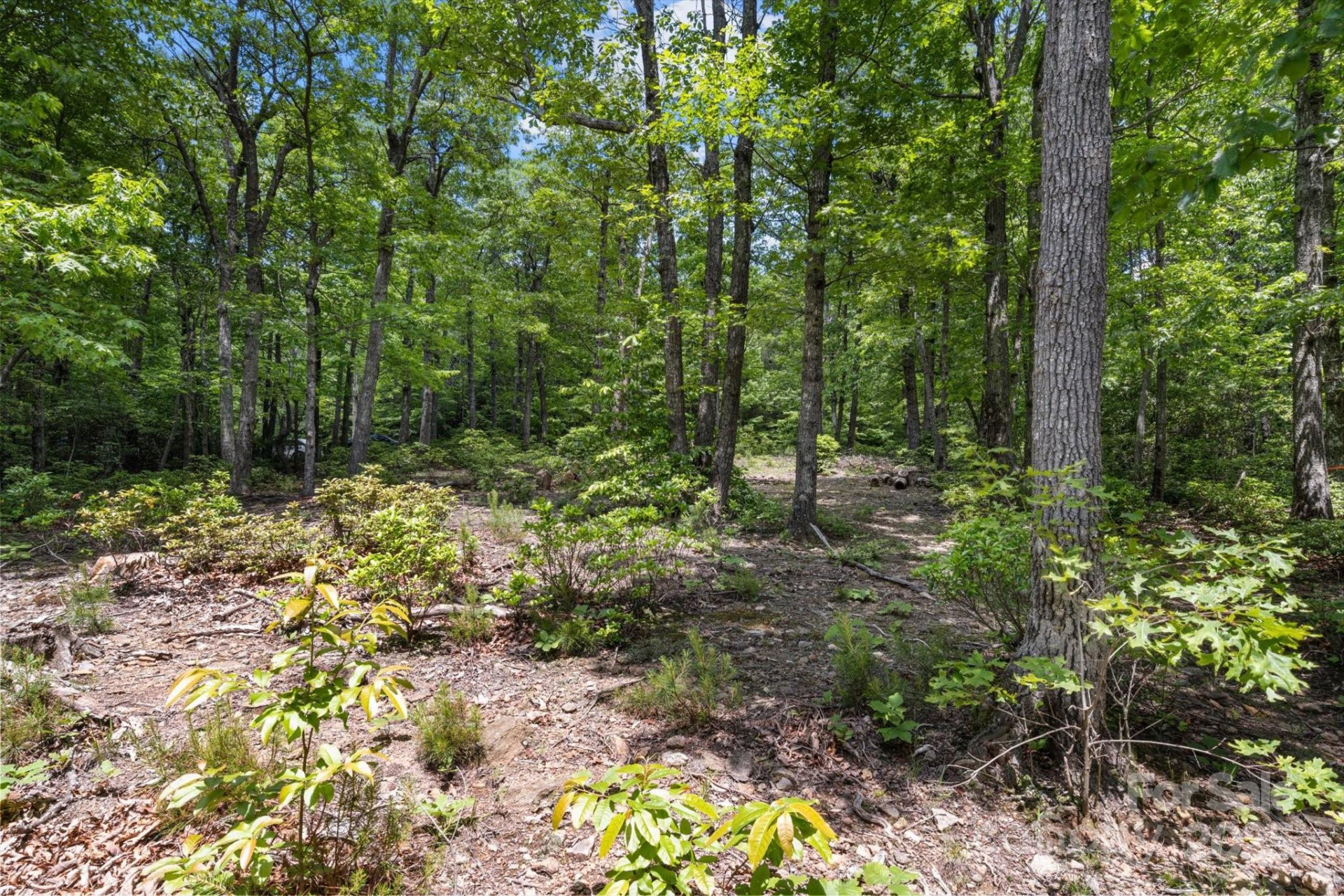 99999 Arrowhead Trail #80 - Photo 7