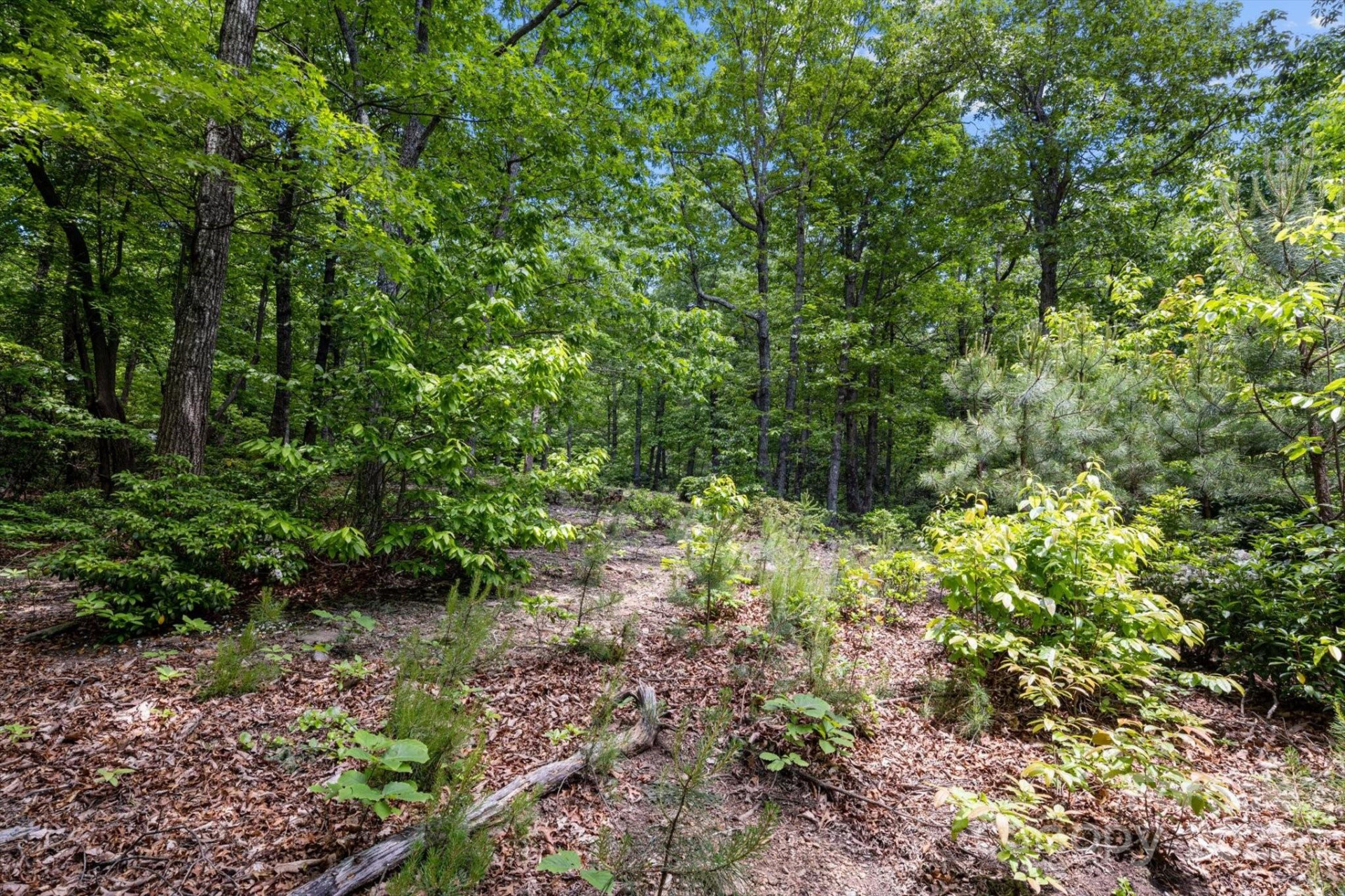 99999 Arrowhead Trail #80 - Photo 8