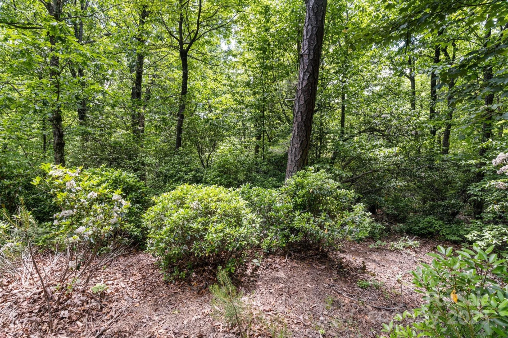 99999 Arrowhead Trail #80 - Photo 9