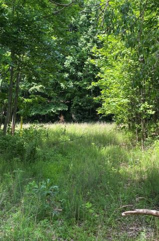 199 Cherry Hill None