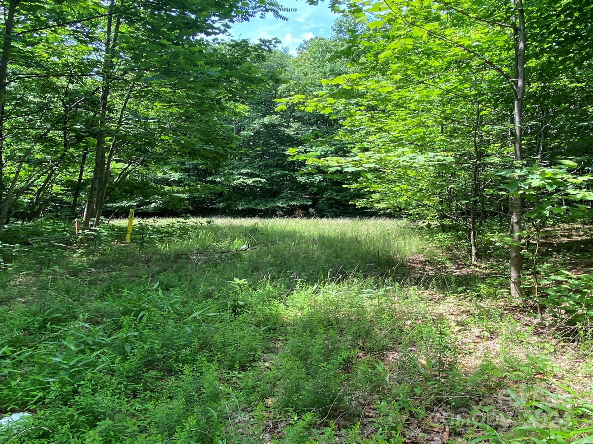 199 Cherry Hill None - Photo 2