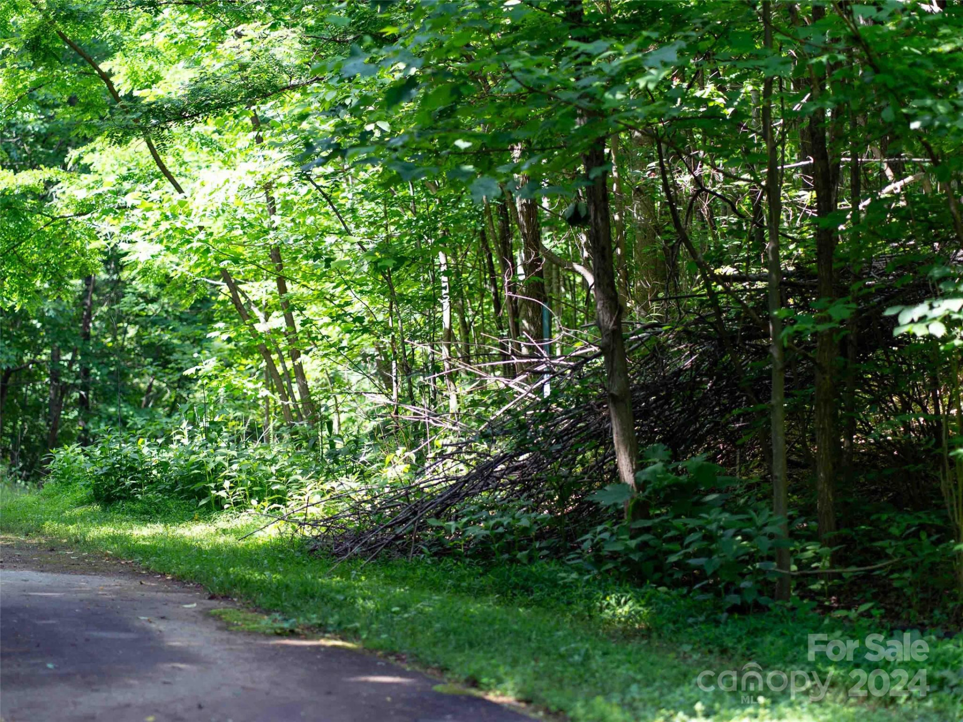 199 Cherry Hill None - Photo 3