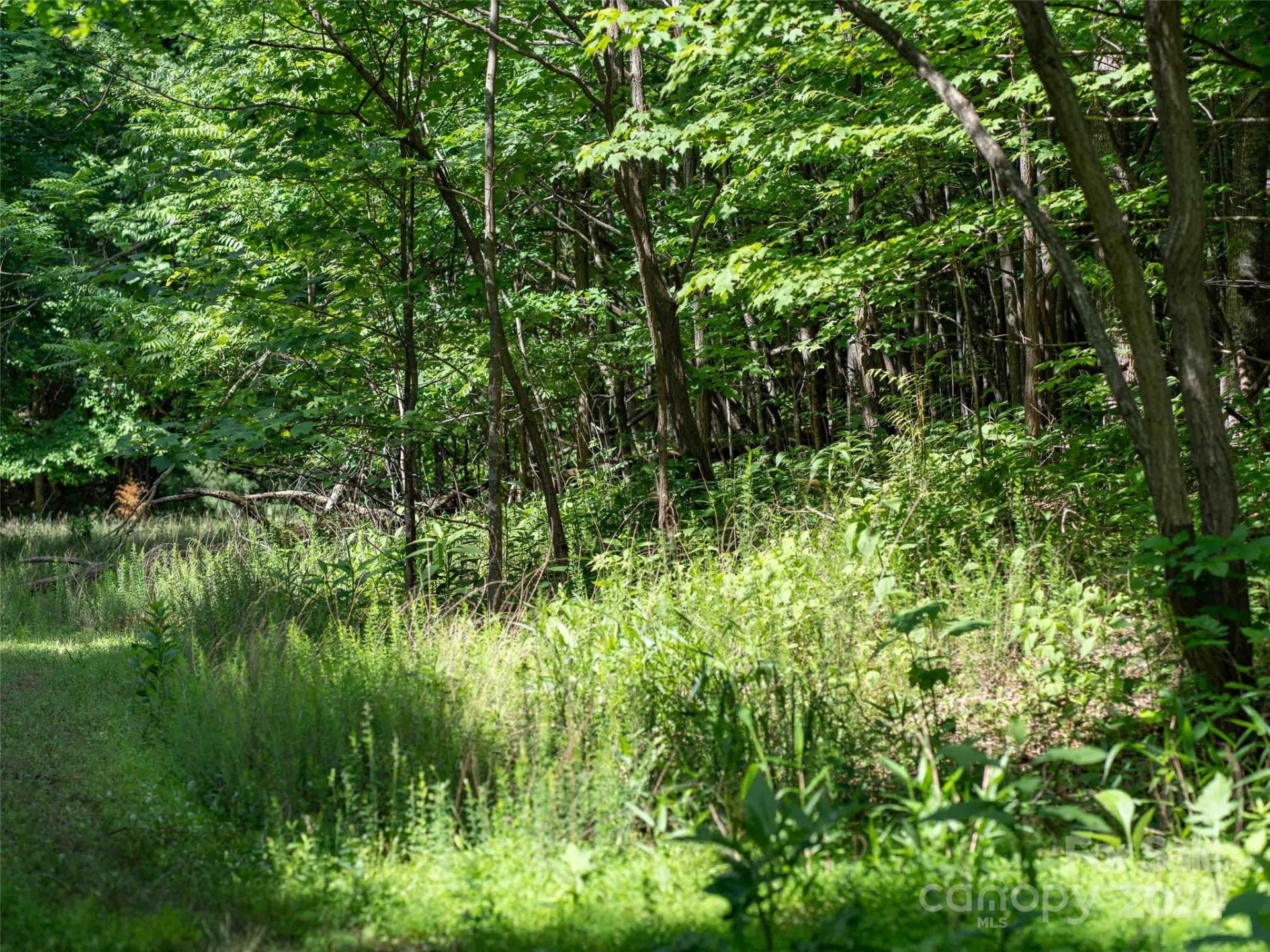 199 Cherry Hill None - Photo 4