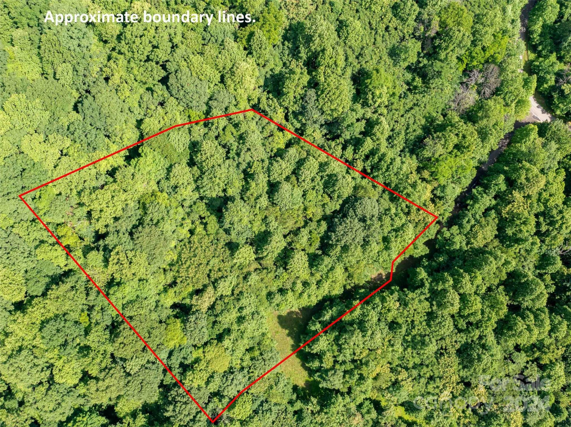 199 Cherry Hill None - Photo 6