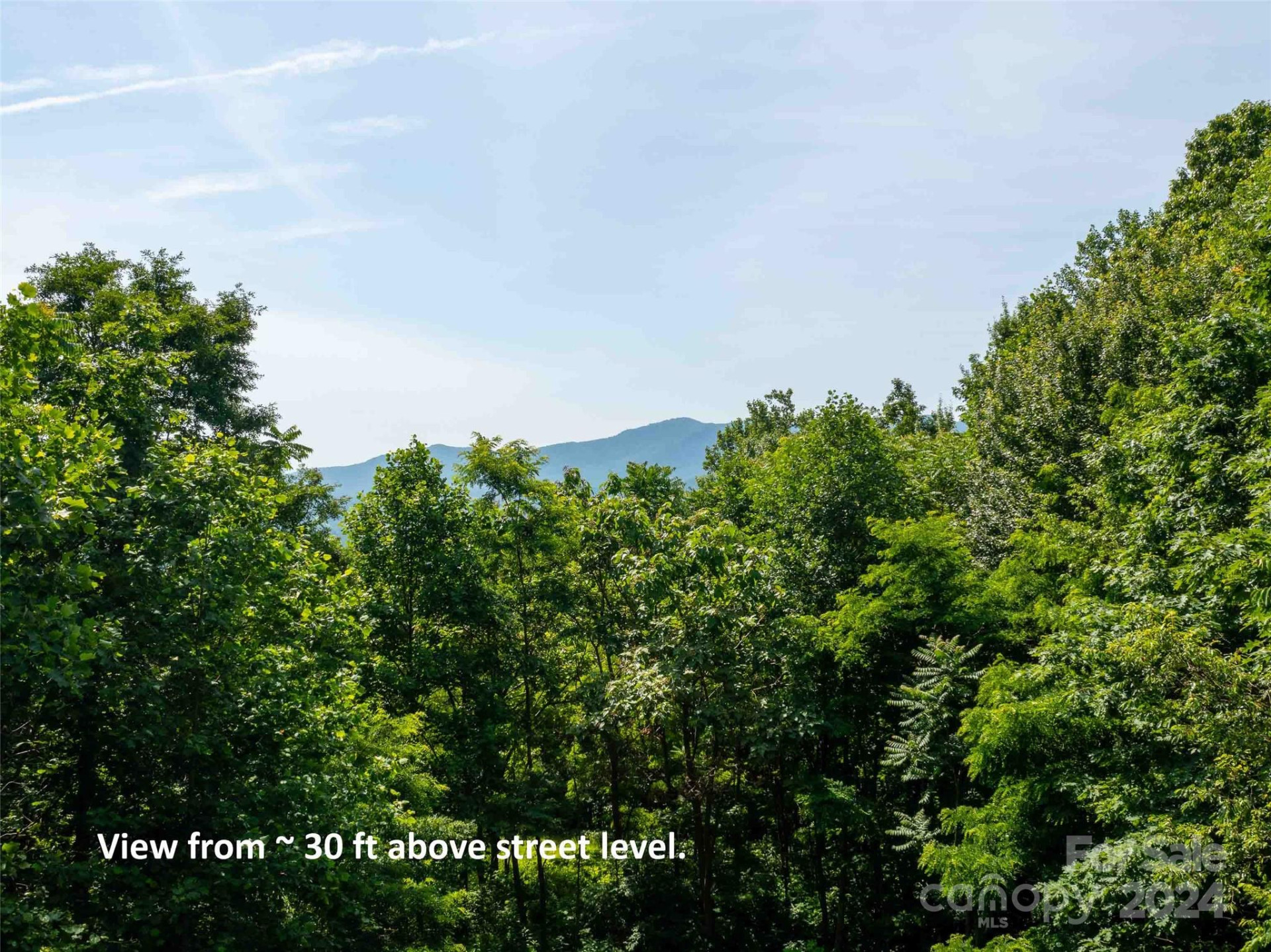 199 Cherry Hill None - Photo 8