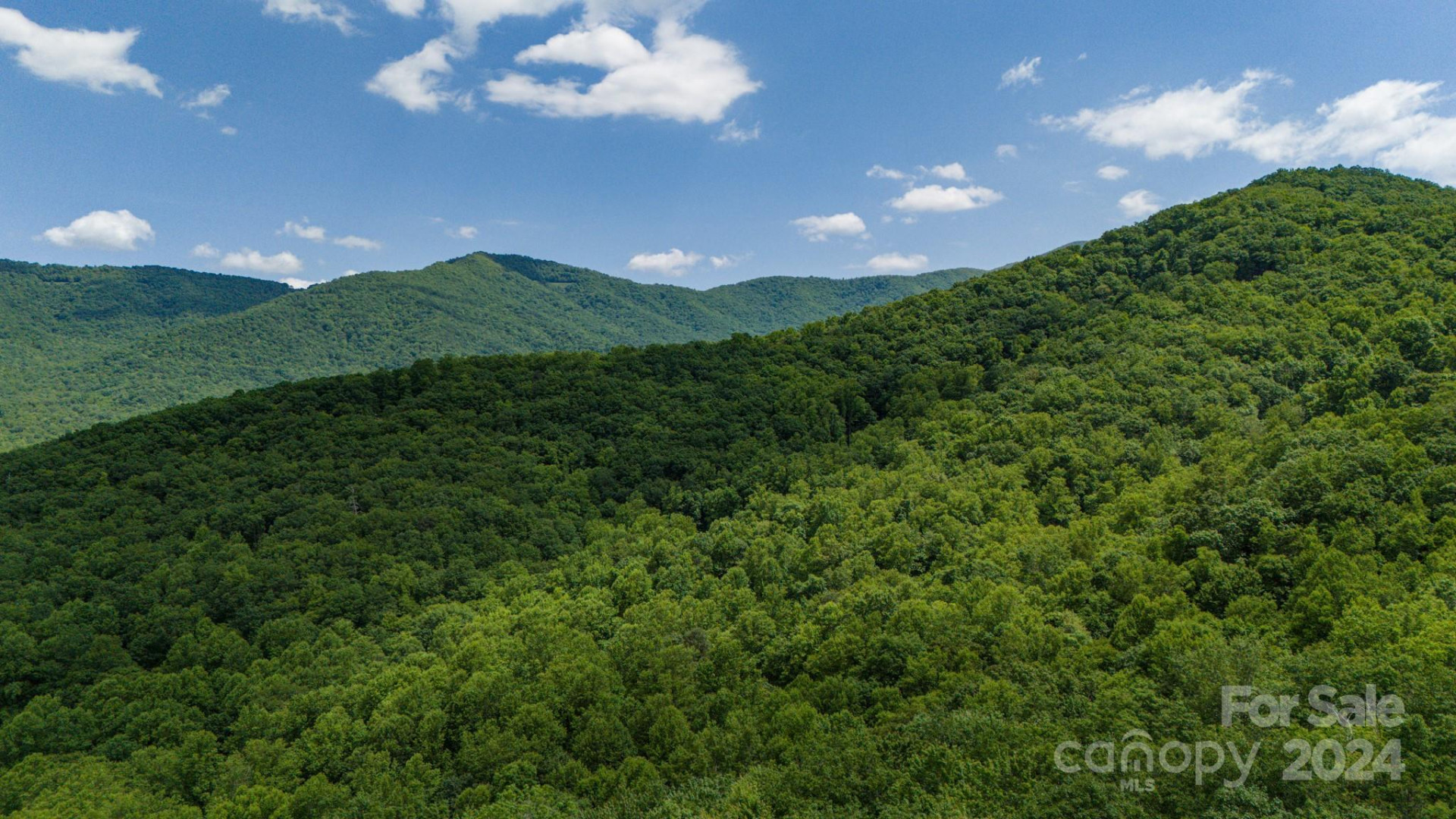 95 Treetops Drive - Photo 11