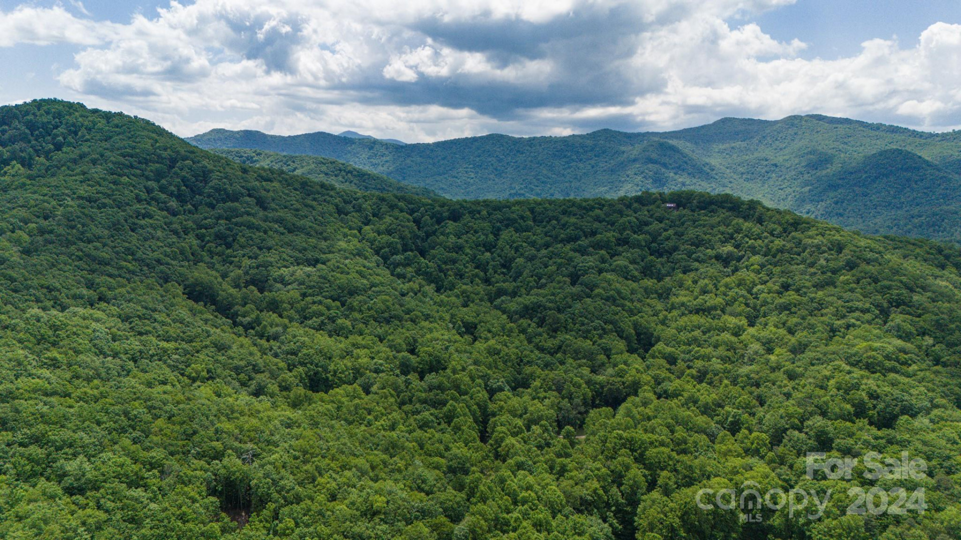 95 Treetops Drive - Photo 16