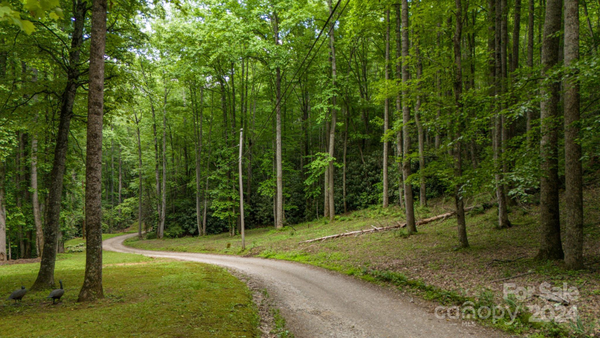 95 Treetops Drive - Photo 3