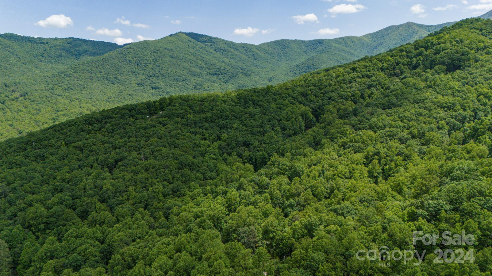 95 Treetops Drive - Photo 10
